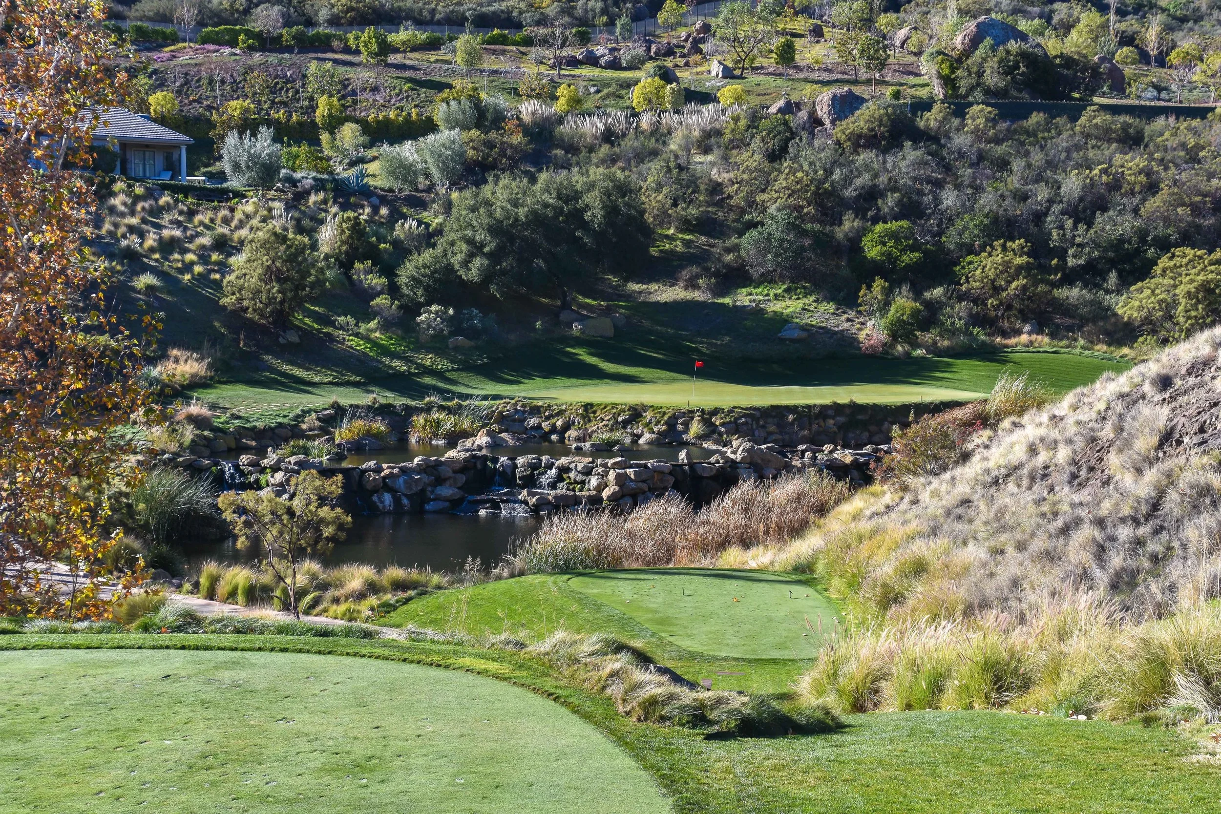 The scene of the crime on the 6th hole.
