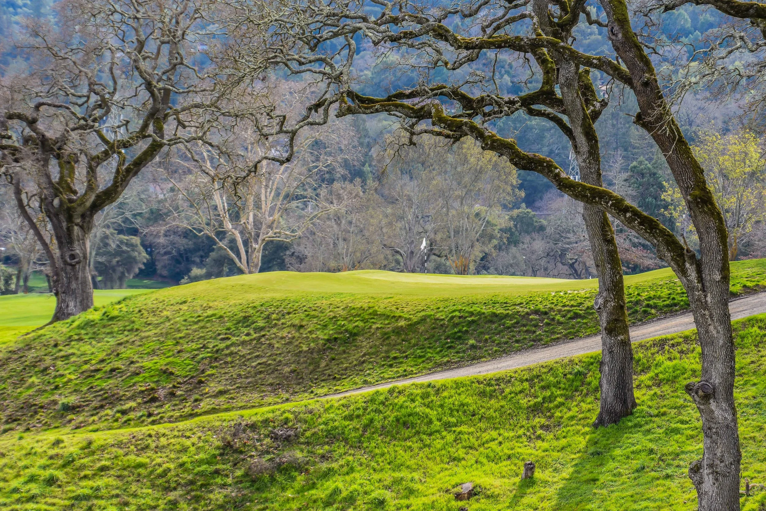 The view from behind the 2nd hole at Orinda Country Club