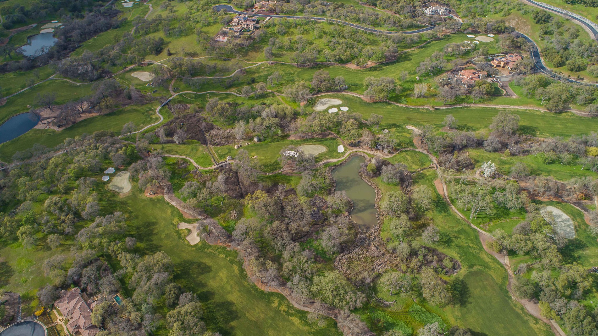 DJI_0011.jpg