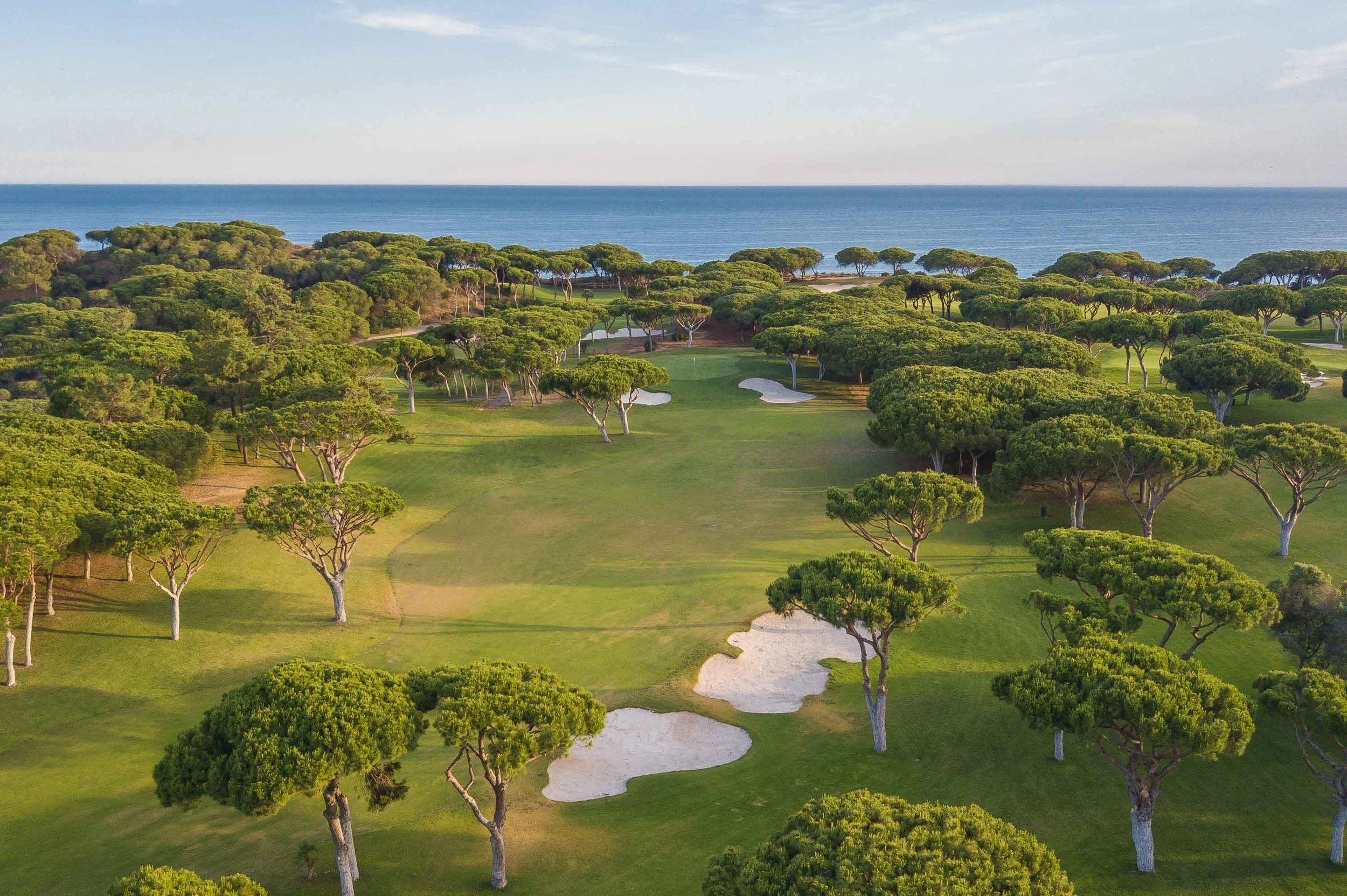 DJI_0241.jpg