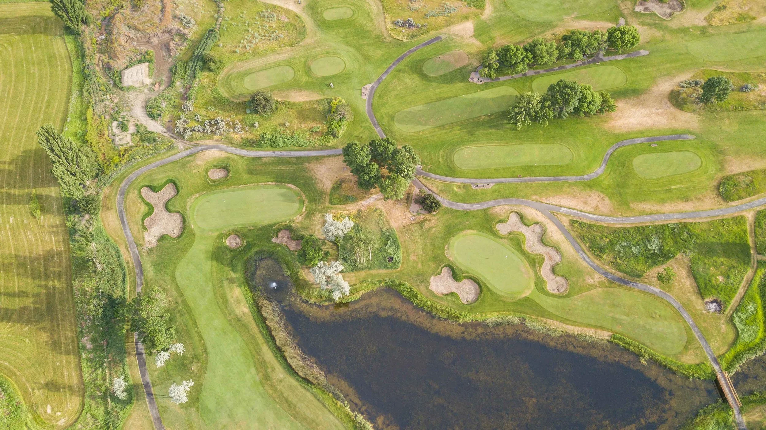 DJI_0133.jpg