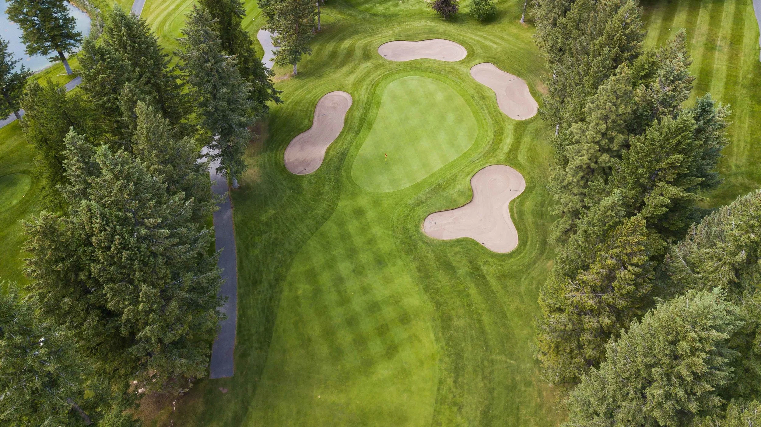 The scene of my missed 3 foot putt for the victory