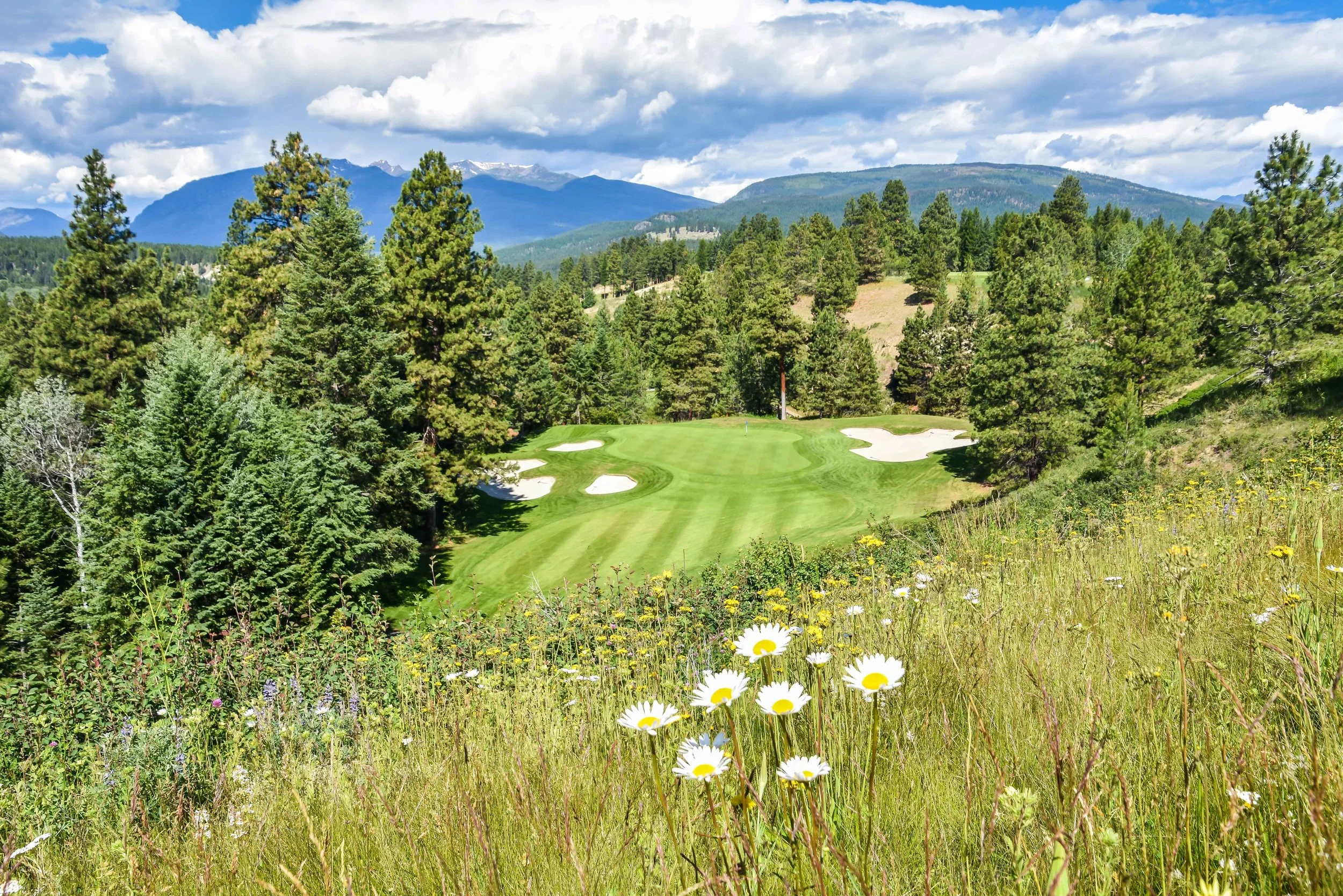 The signature par 3 12th at Bootleg Gap.
