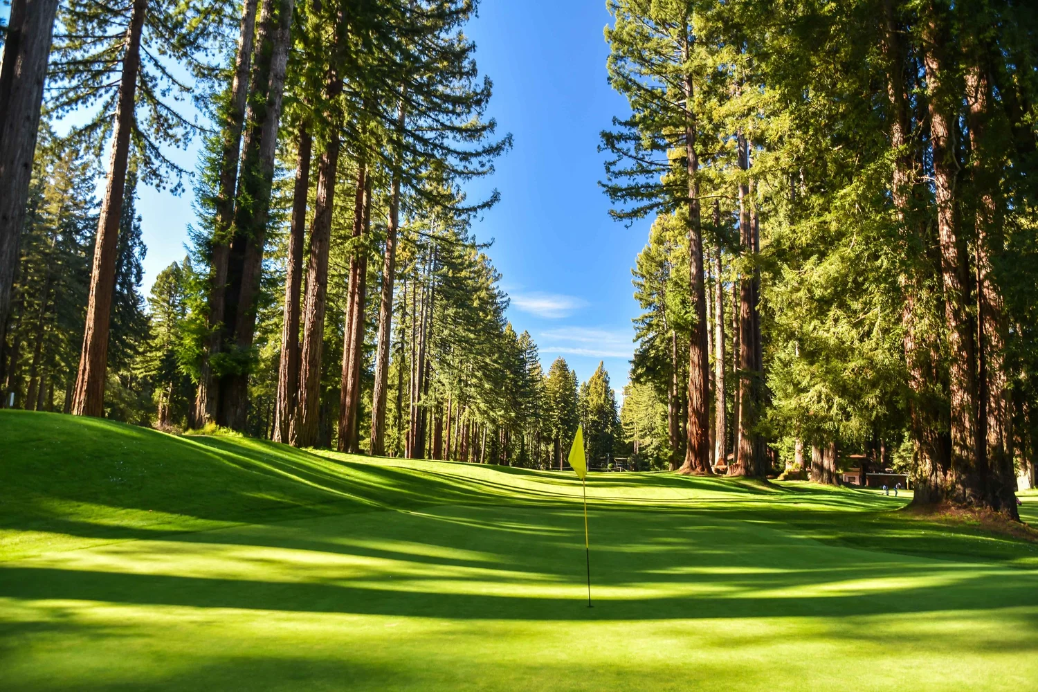 Monte Rio Golf Course California Golf Photography | PJ Koenig Golf Photographer — PJKoenig ...