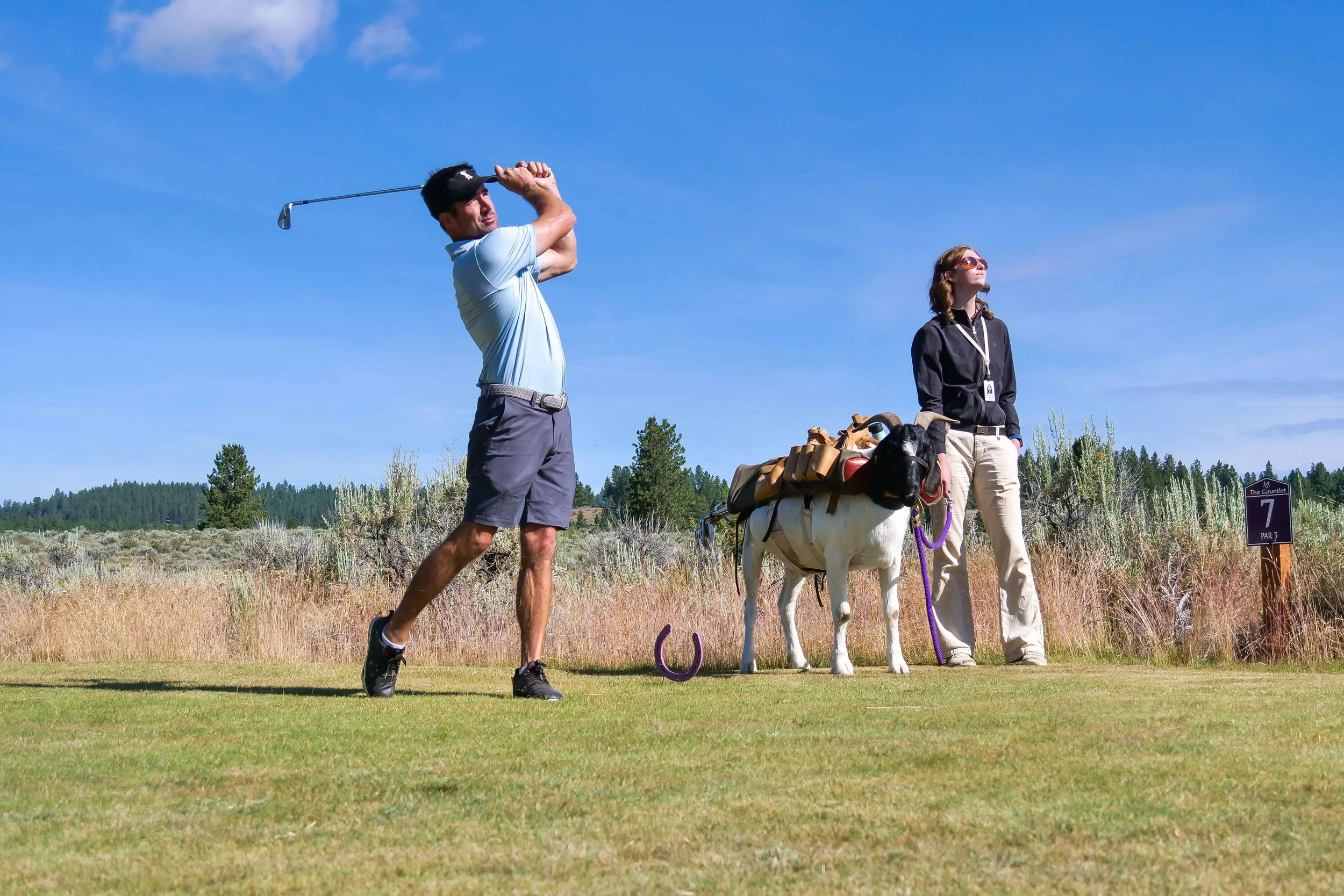 Bruce keeps his eye on the paparazzi as I hunt down flagsticks.