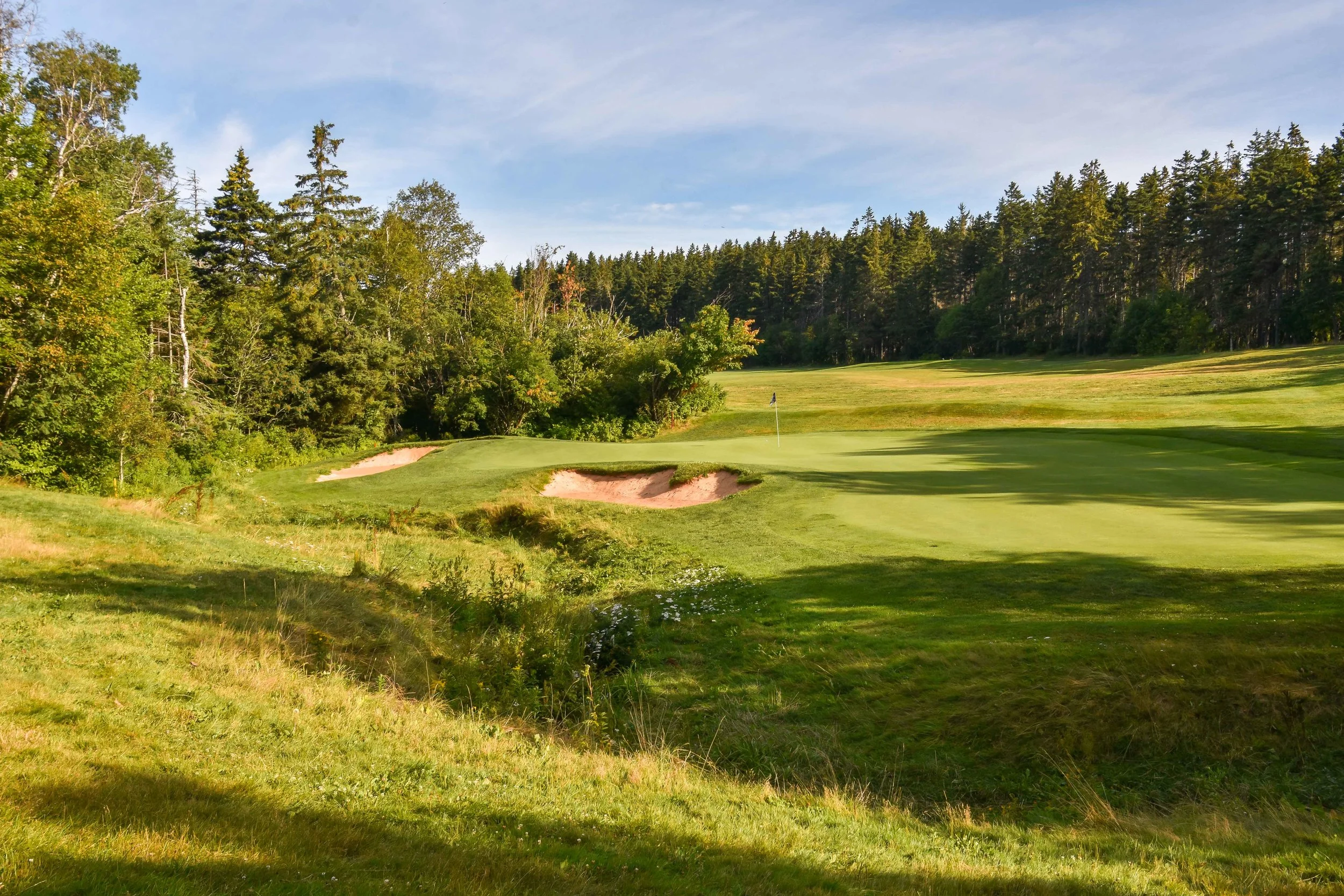 The deliciously fun 5th hole plays over a small creek.