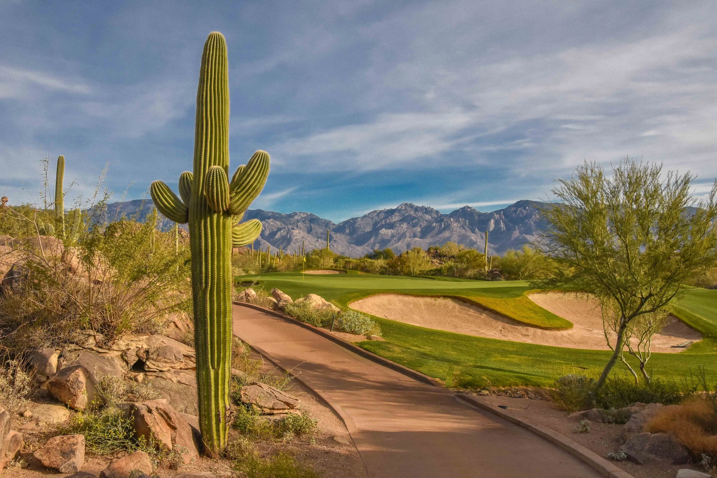 Stone Canyon Club1-83.jpg