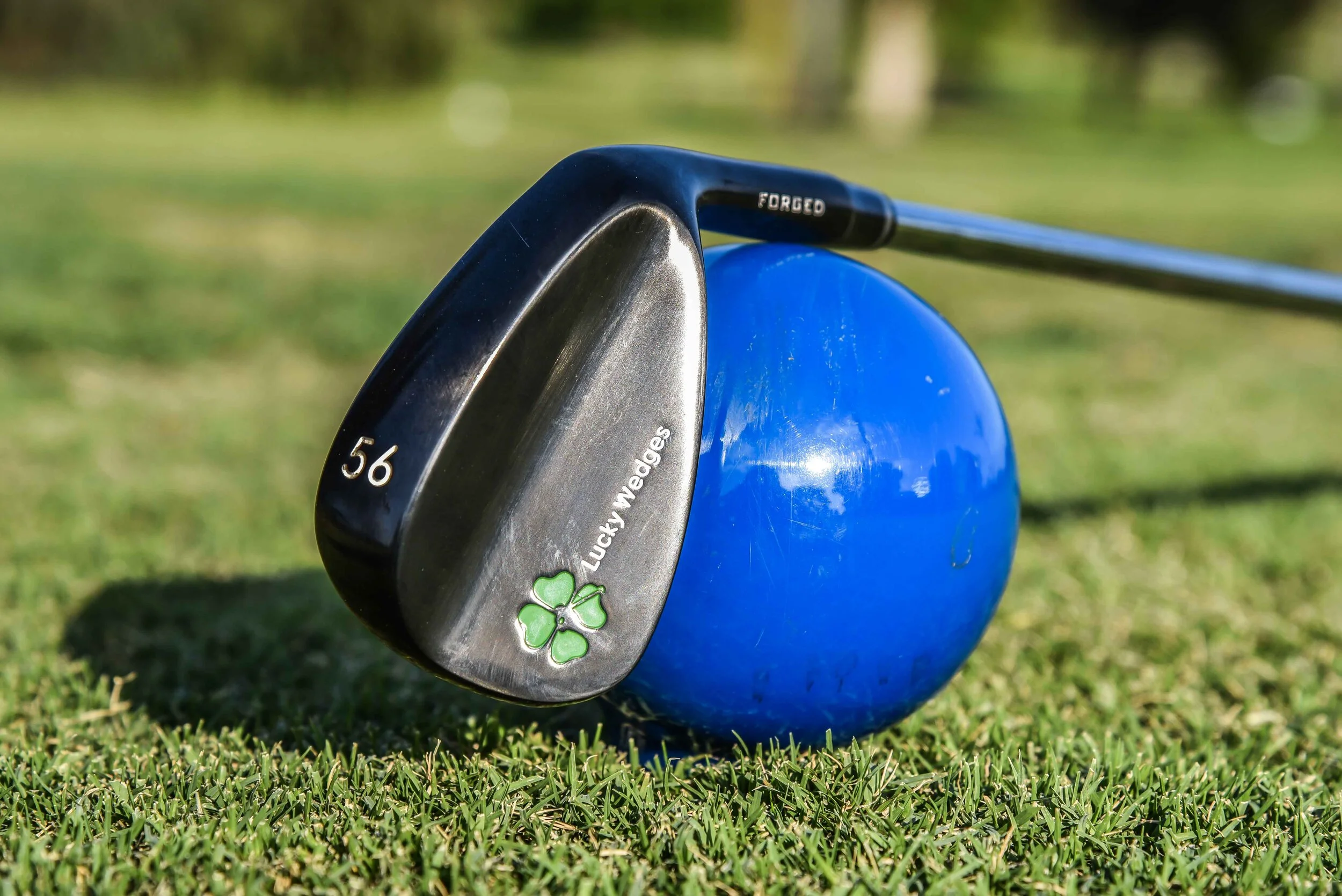 lucky wedges
