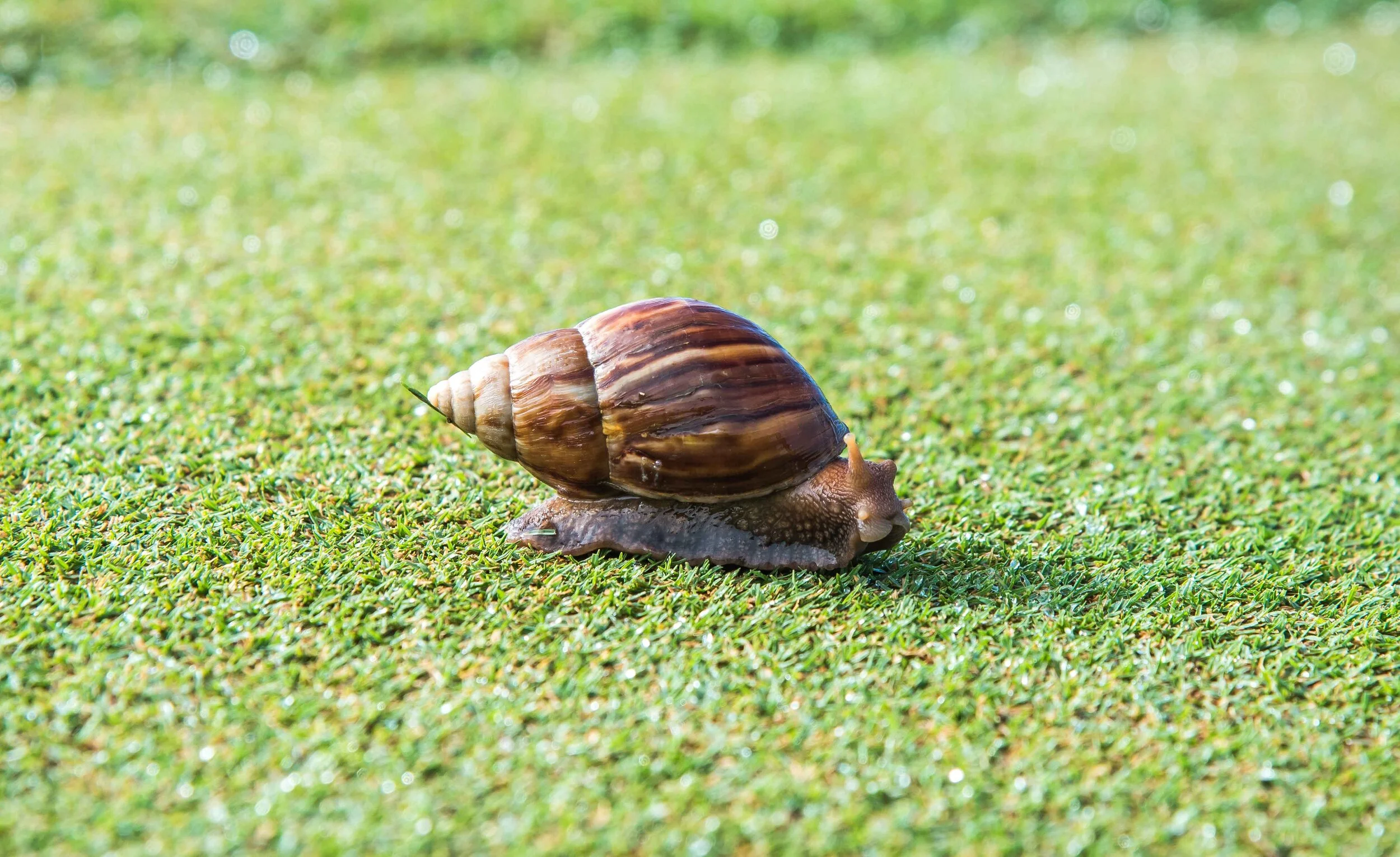 DSC_8690.jpg