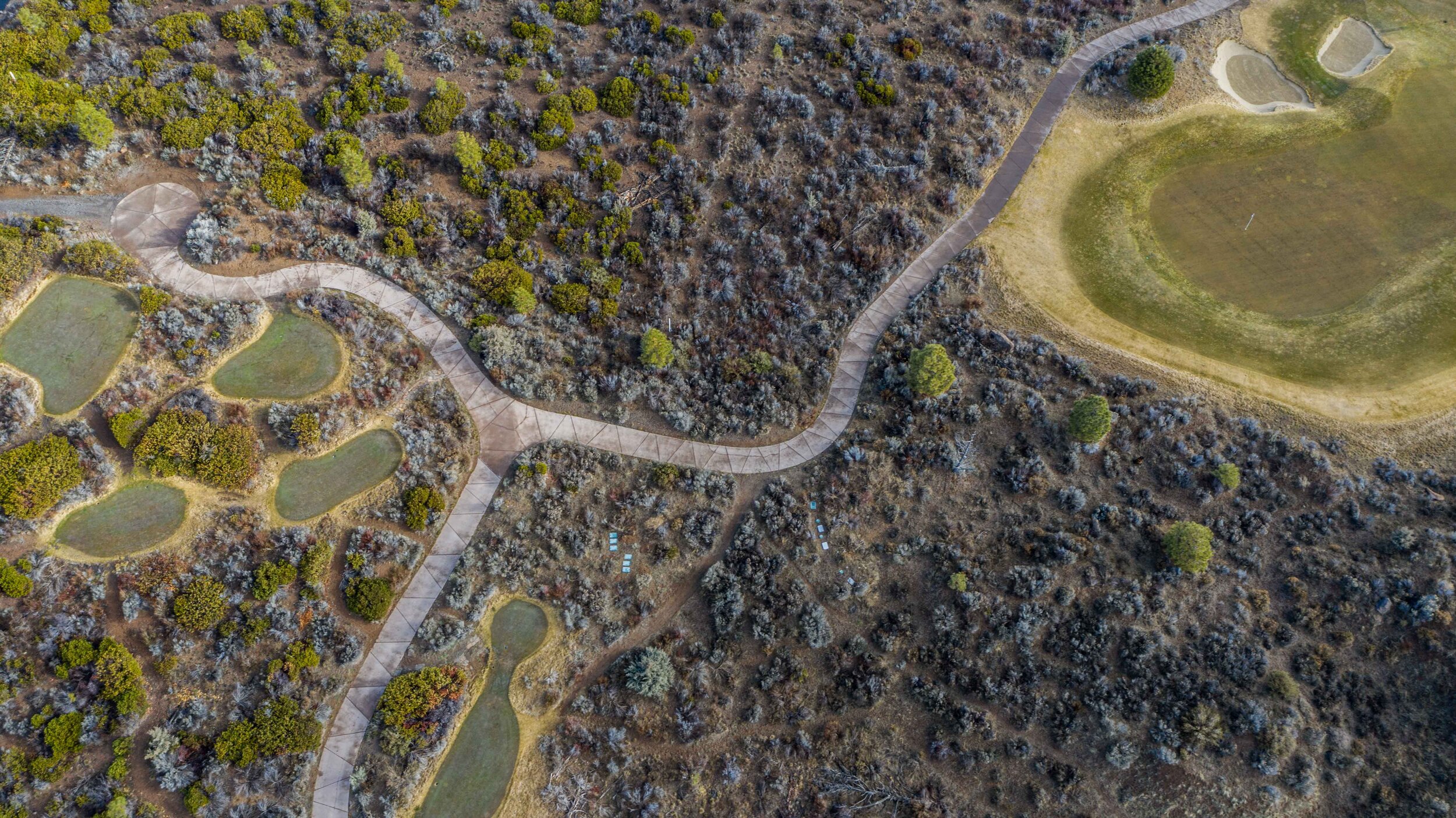 DJI_0730.jpg