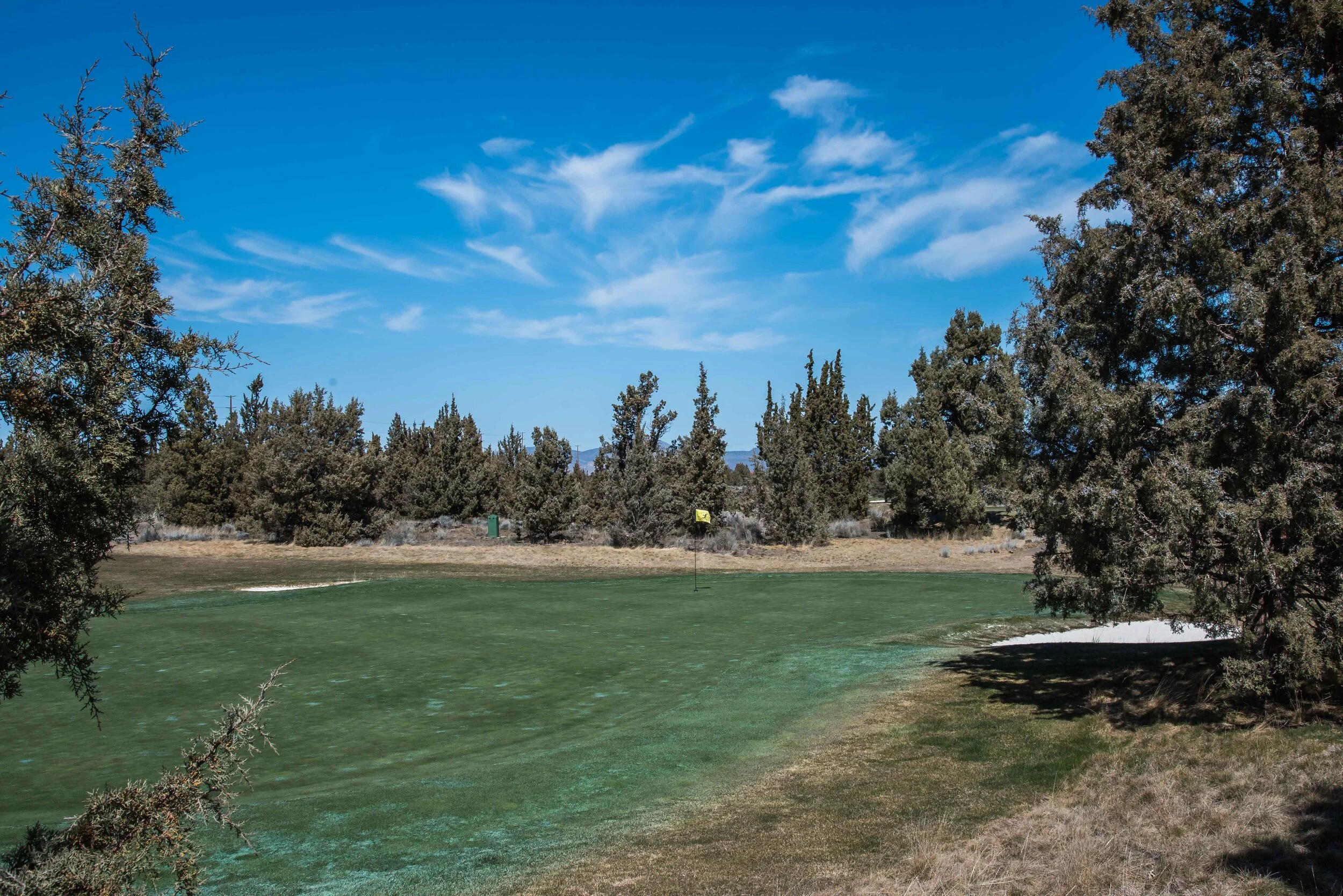 DSC_9666.jpg