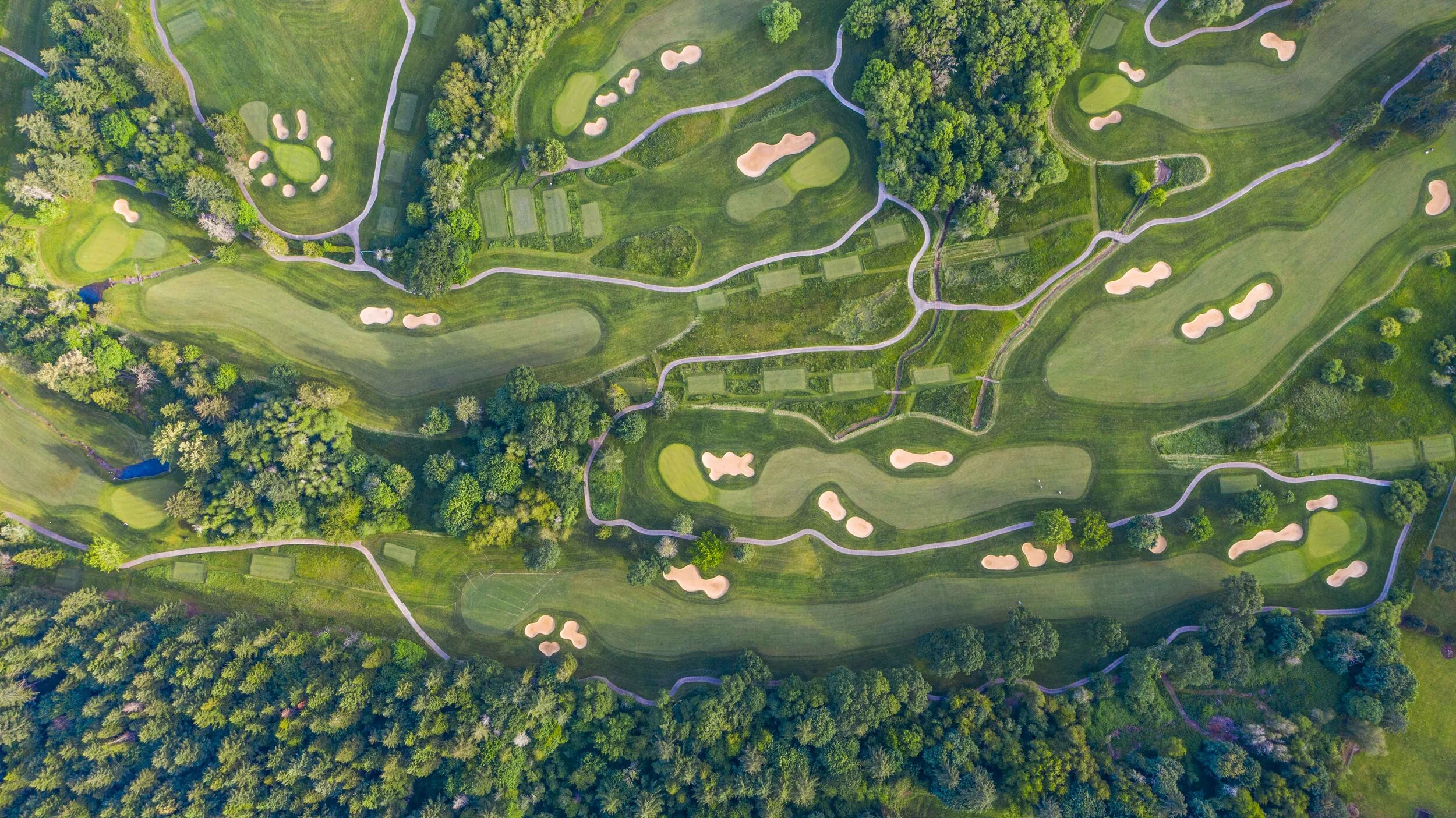 DJI_0776.jpg