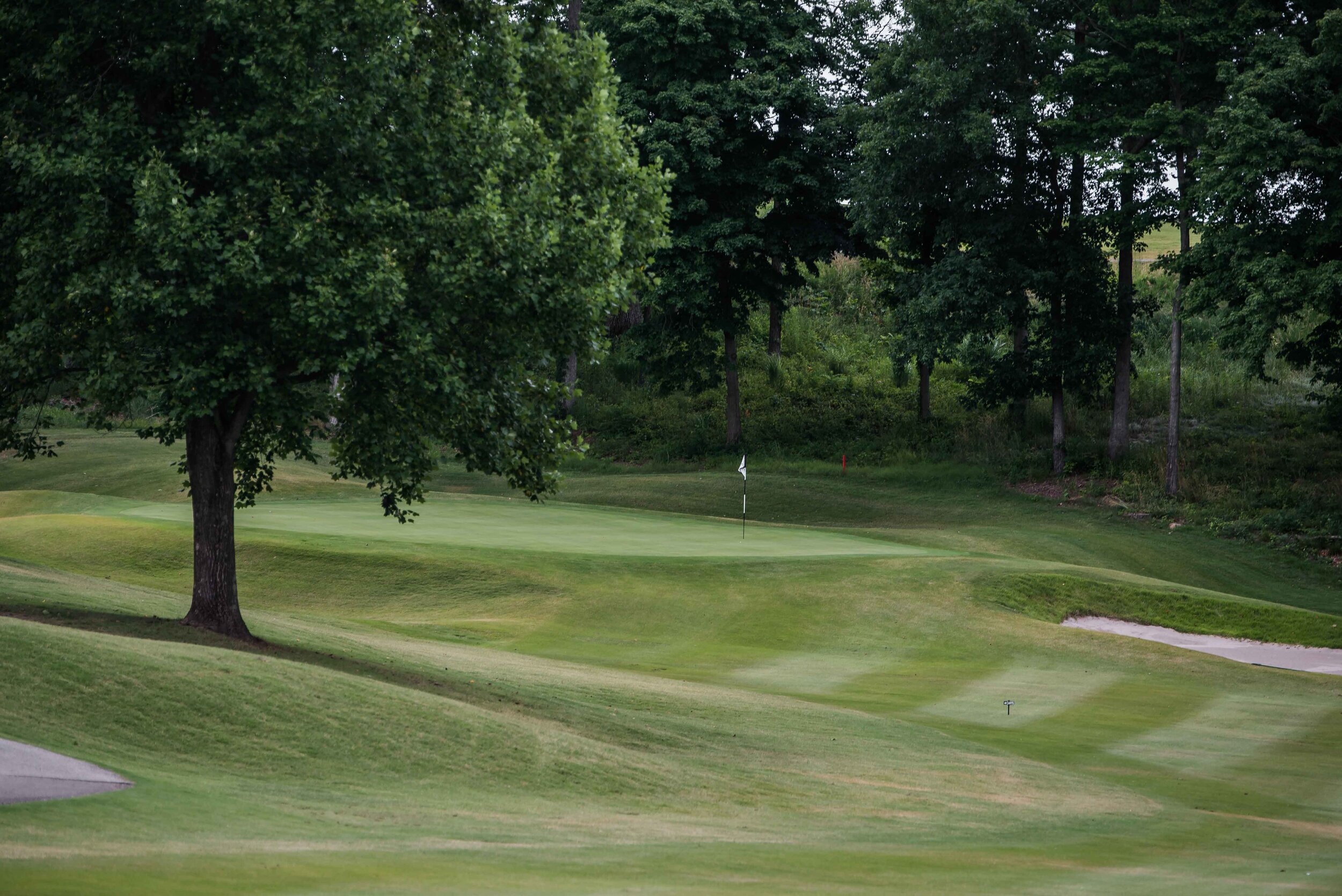 DSC_8680.jpg
