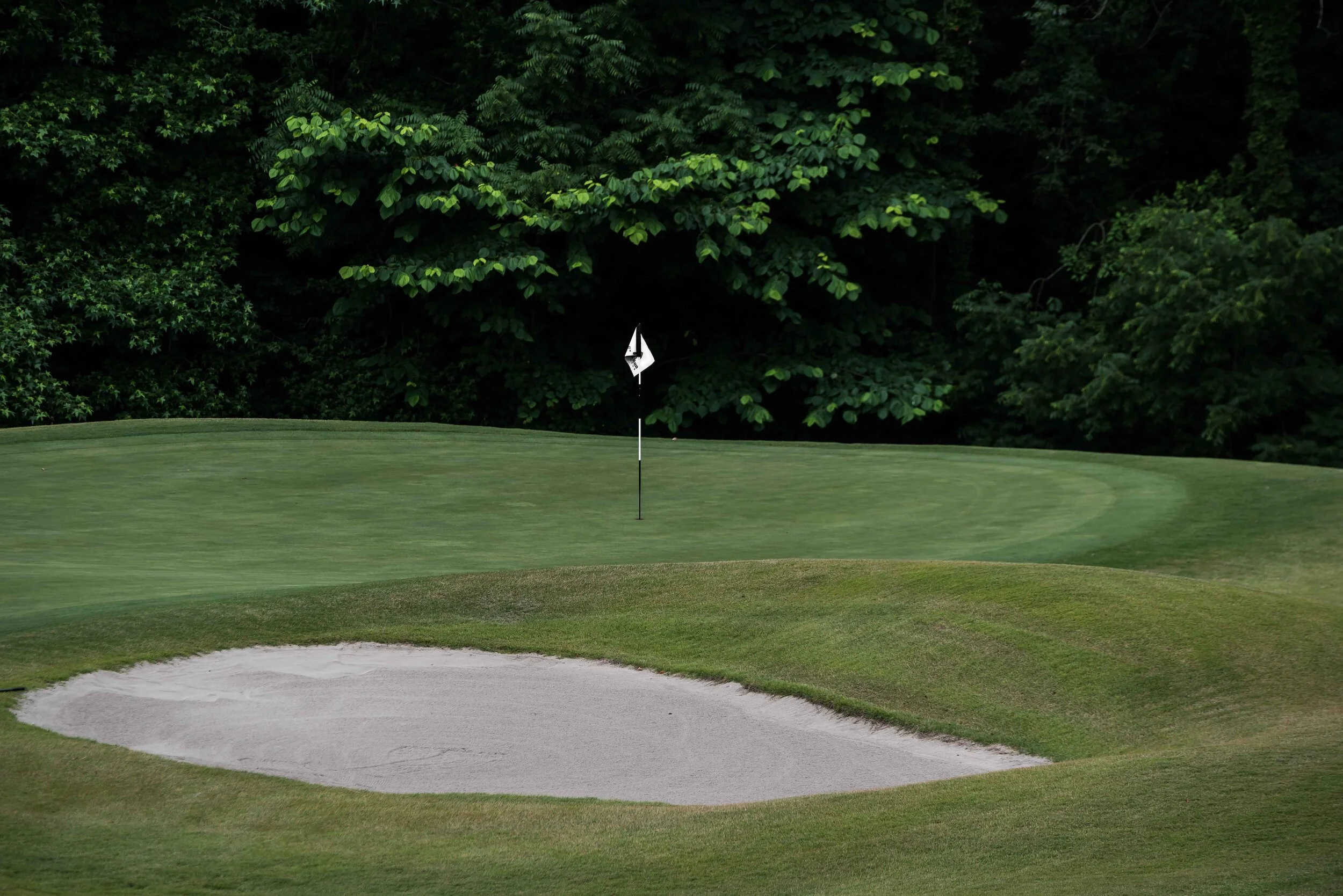 DSC_8679.jpg