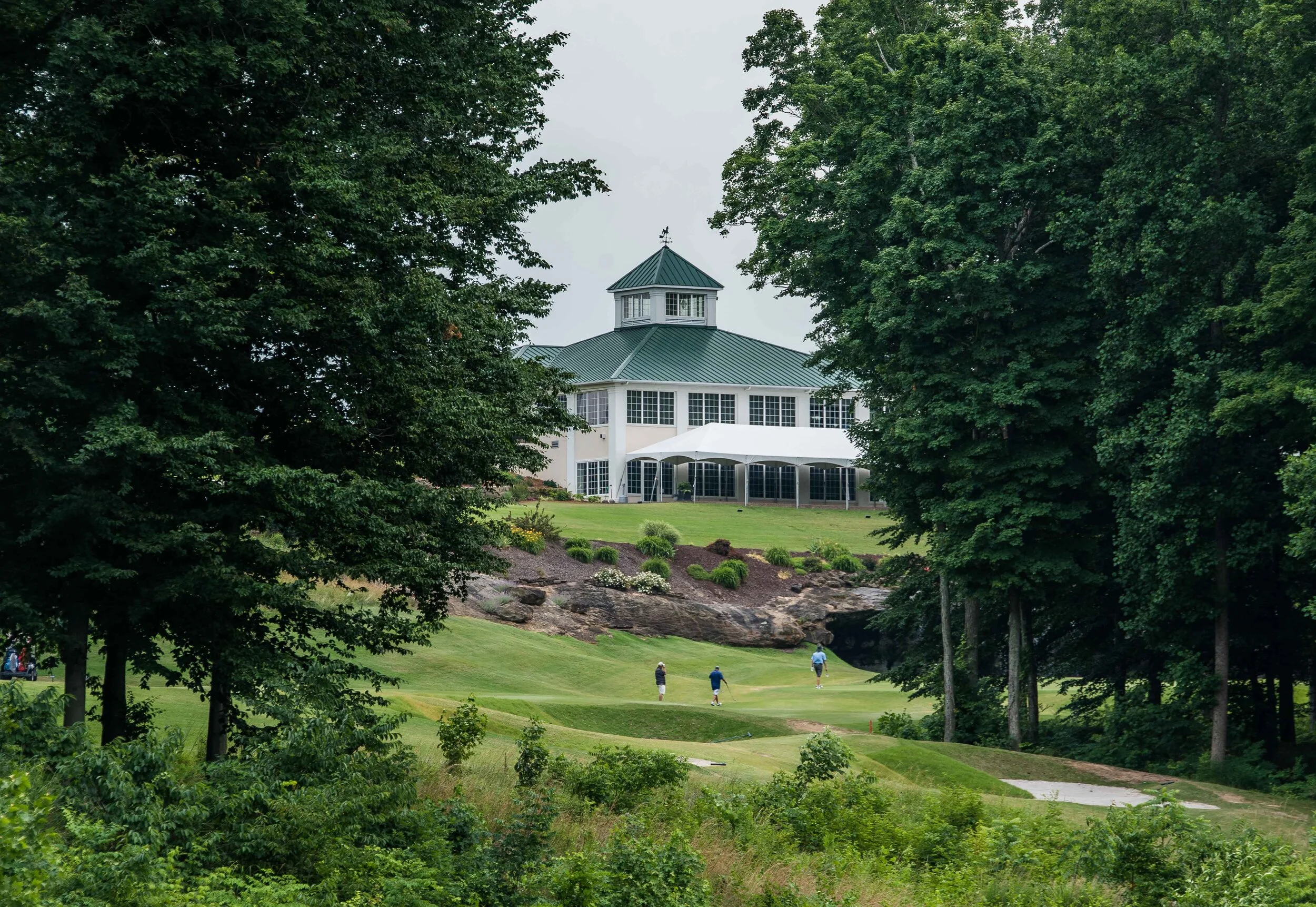 DSC_8594.jpg