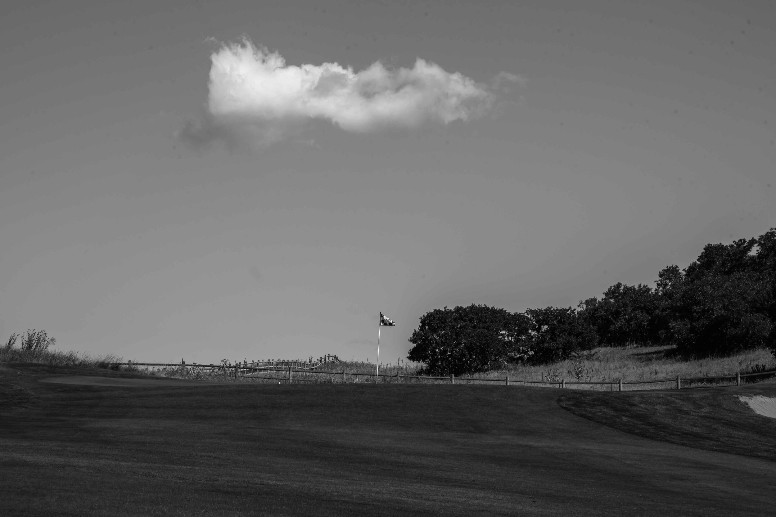 DSC_3718-2.jpg