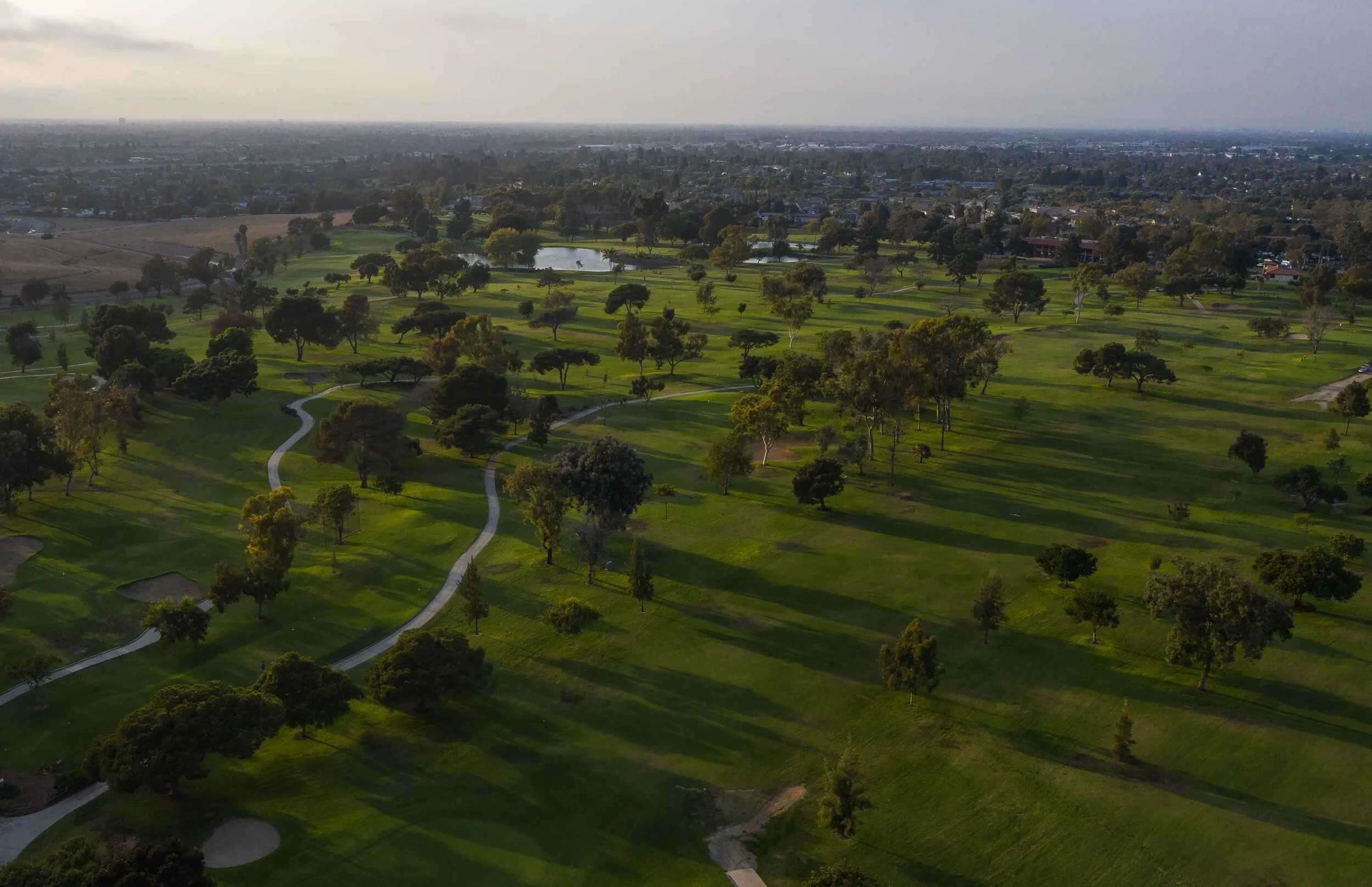 DJI_0874.jpg