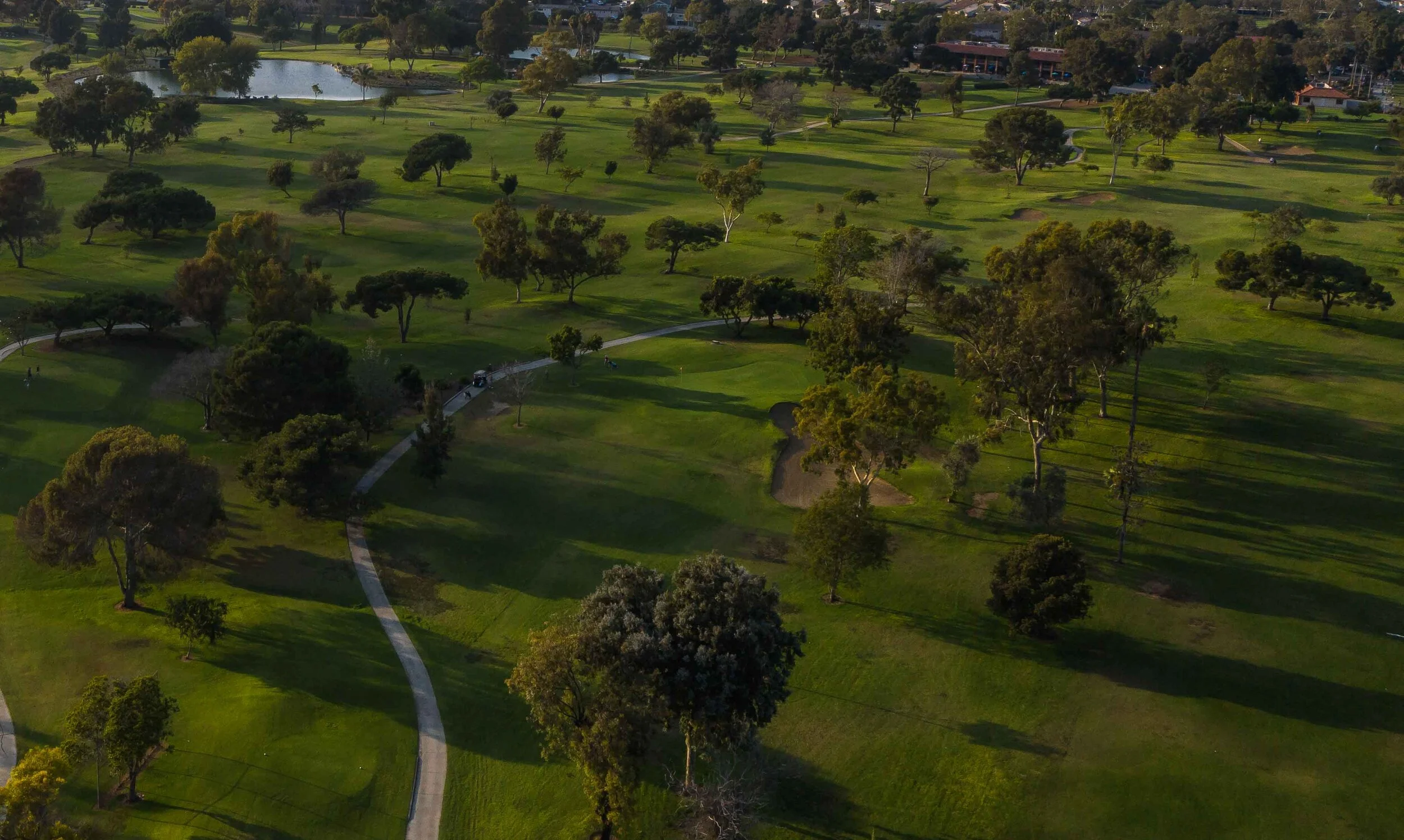 DJI_0837.jpg