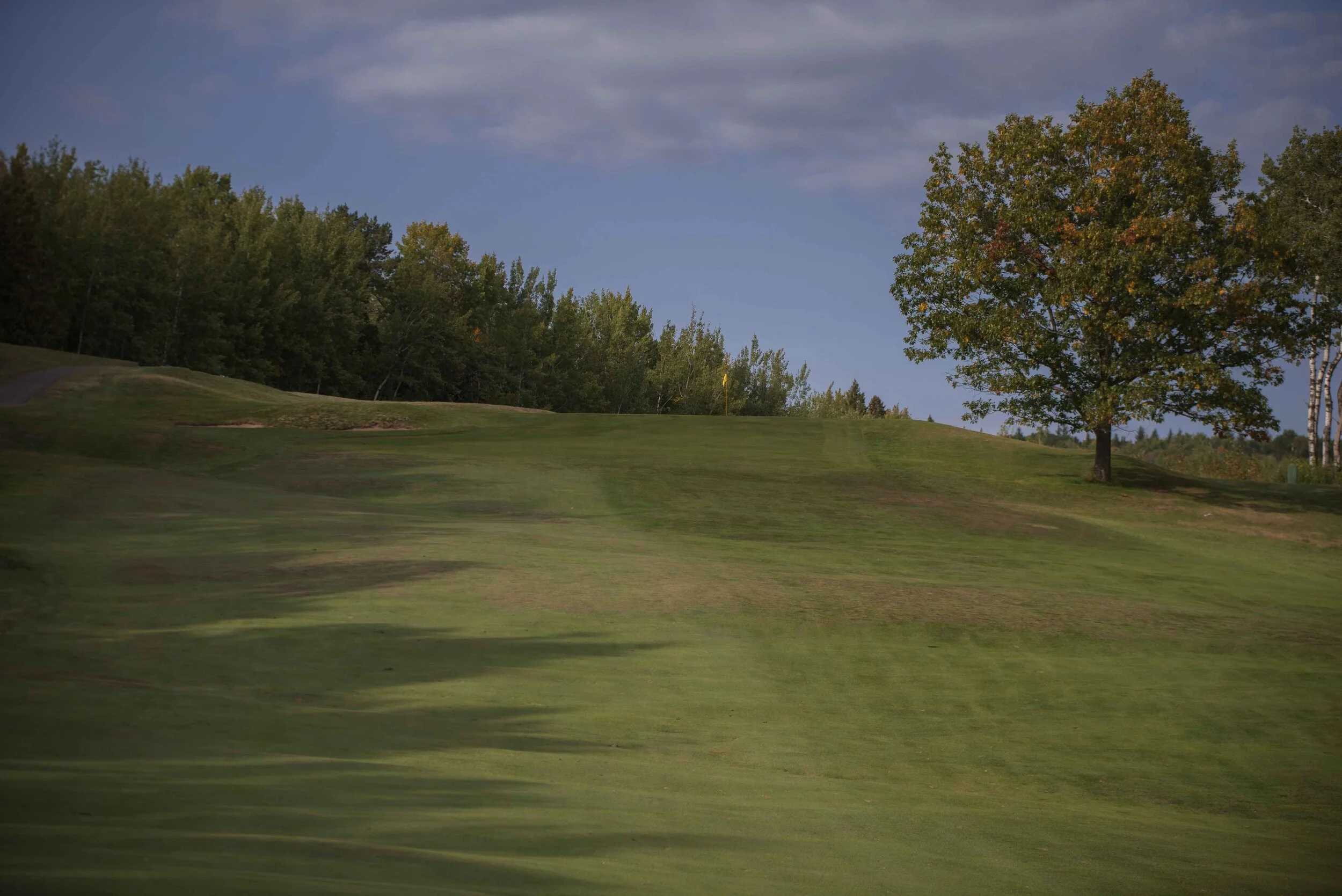 DSC_7940.jpg