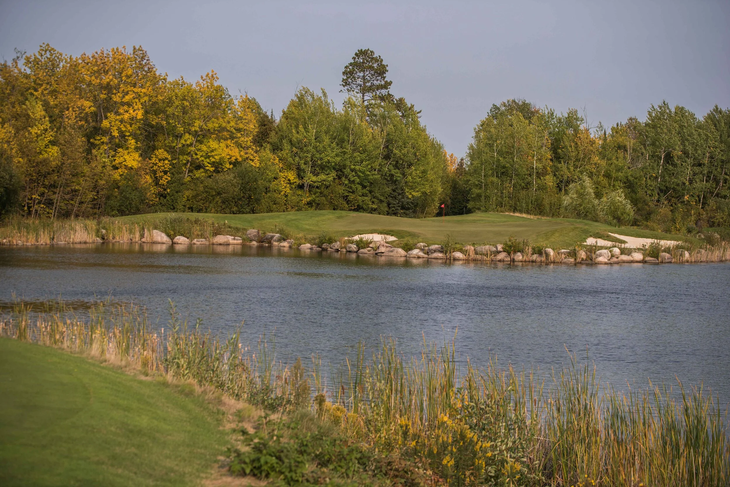 DSC_8144.jpg