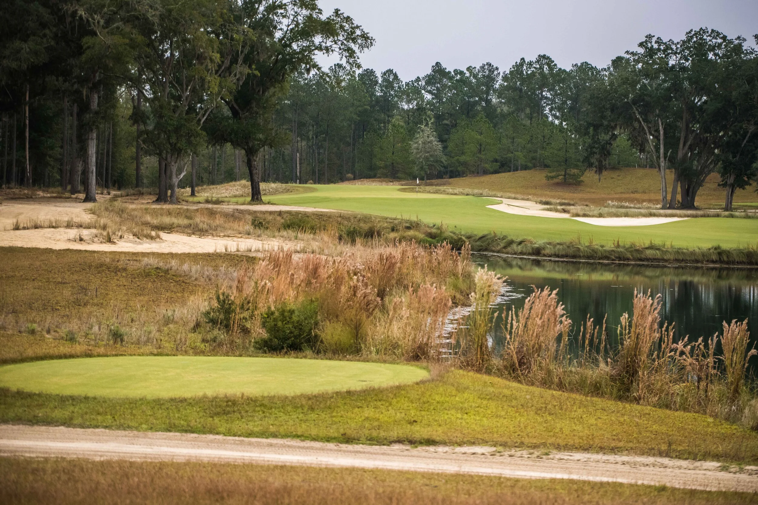 Congaree2_38.jpg