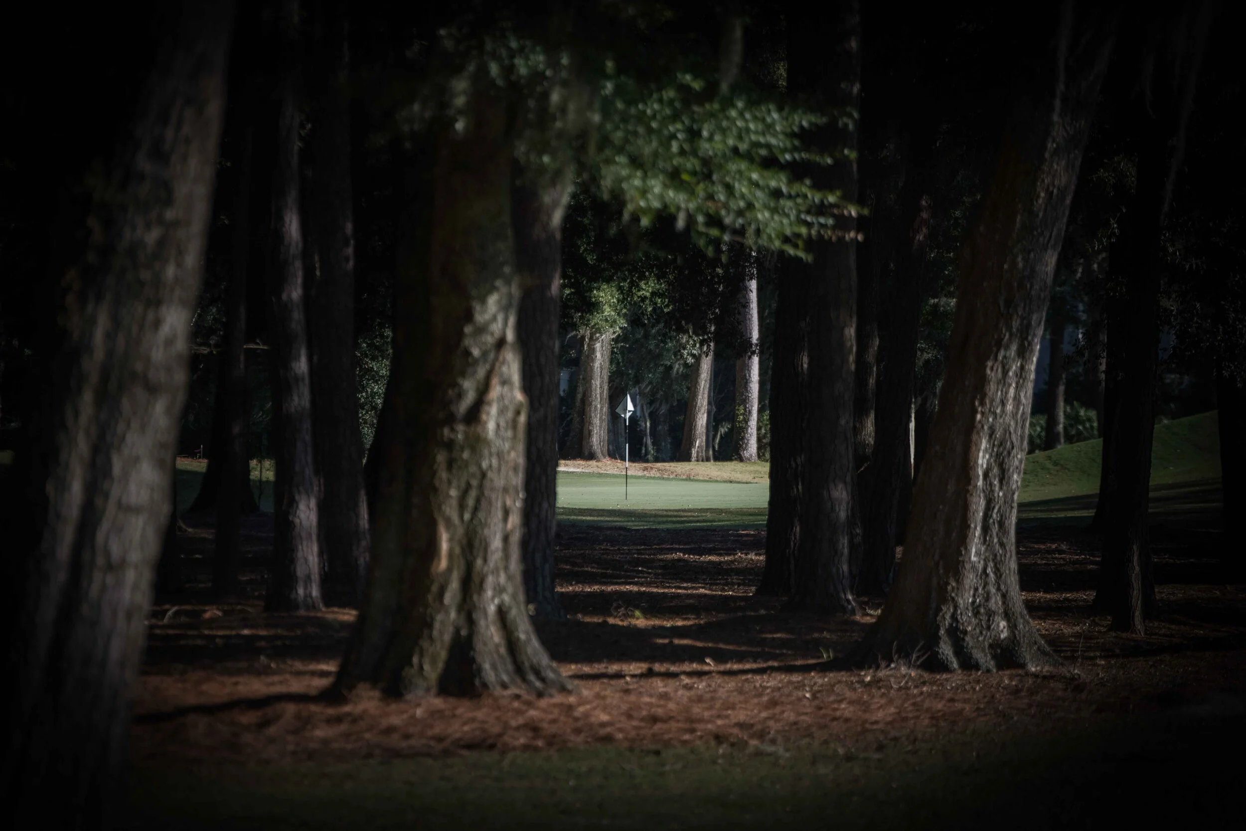 Colleton_30.jpg