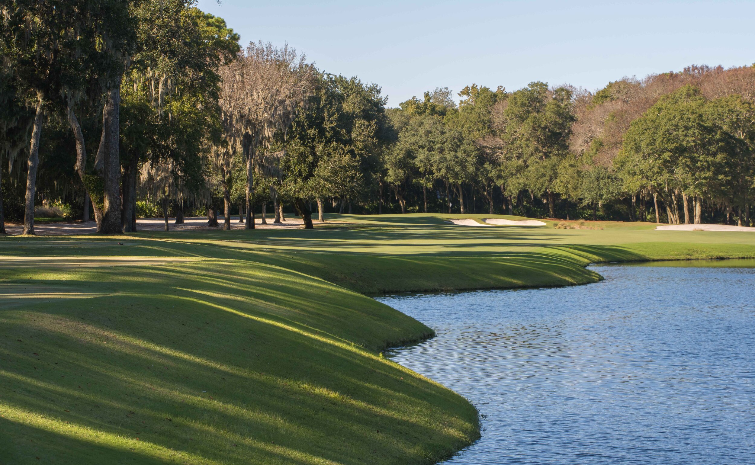 Colleton_26.jpg