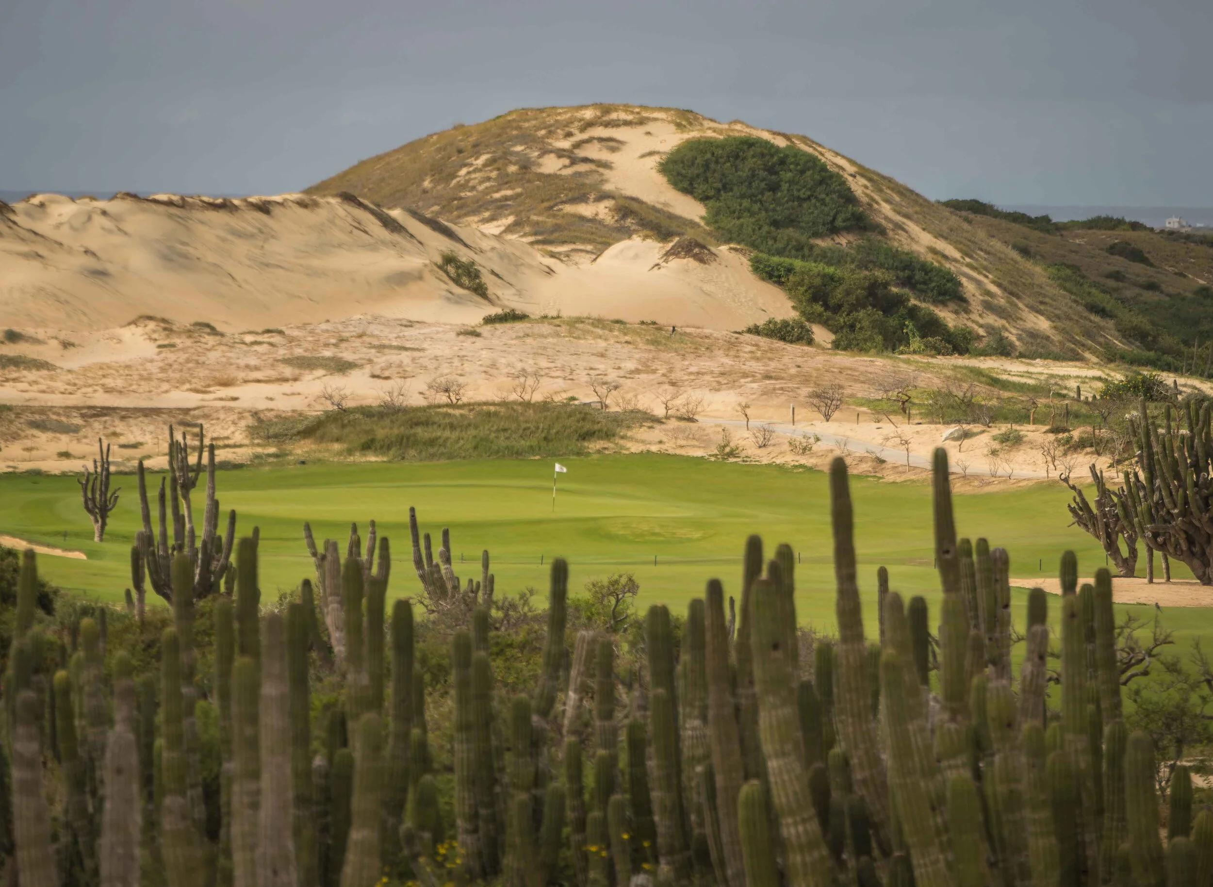 Rancho San Lucas_39-2.jpg