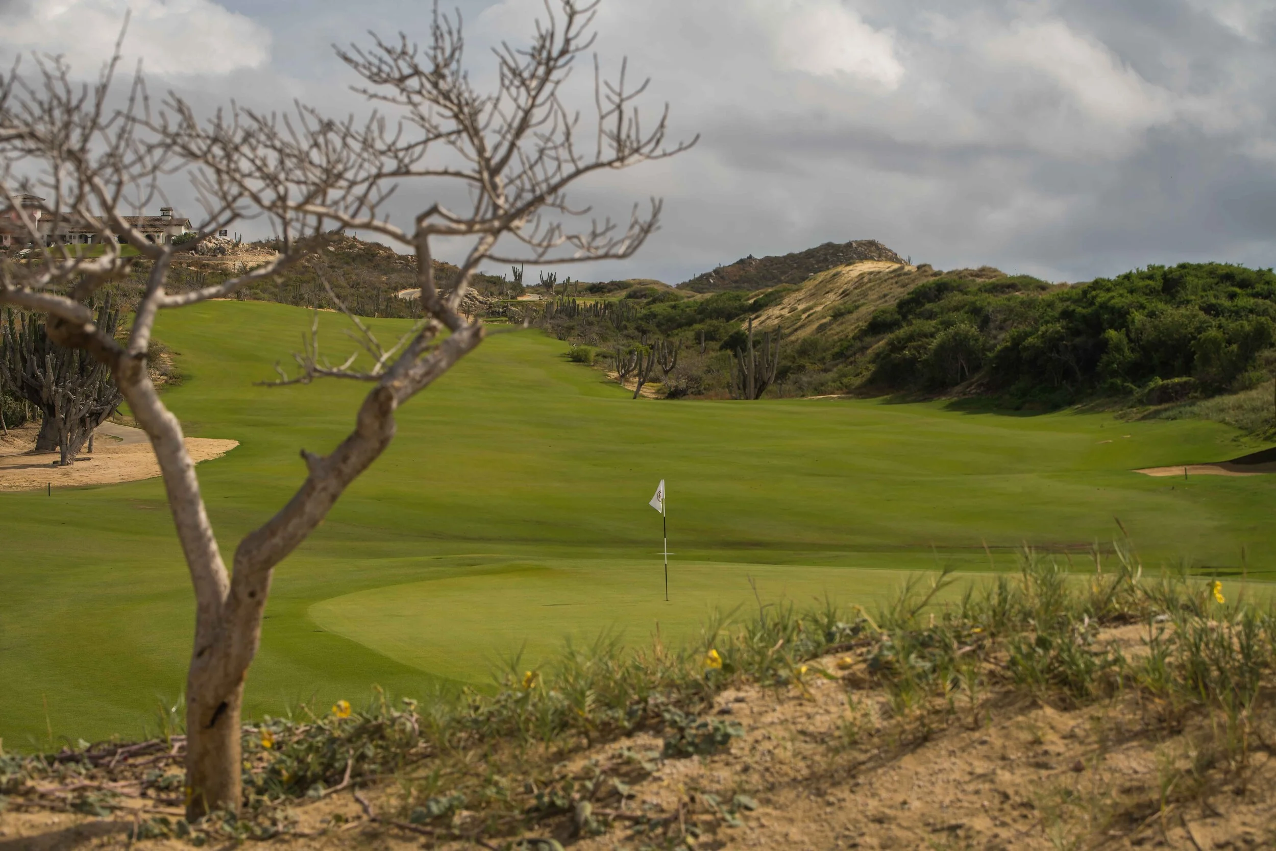 Rancho San Lucas_21.jpg