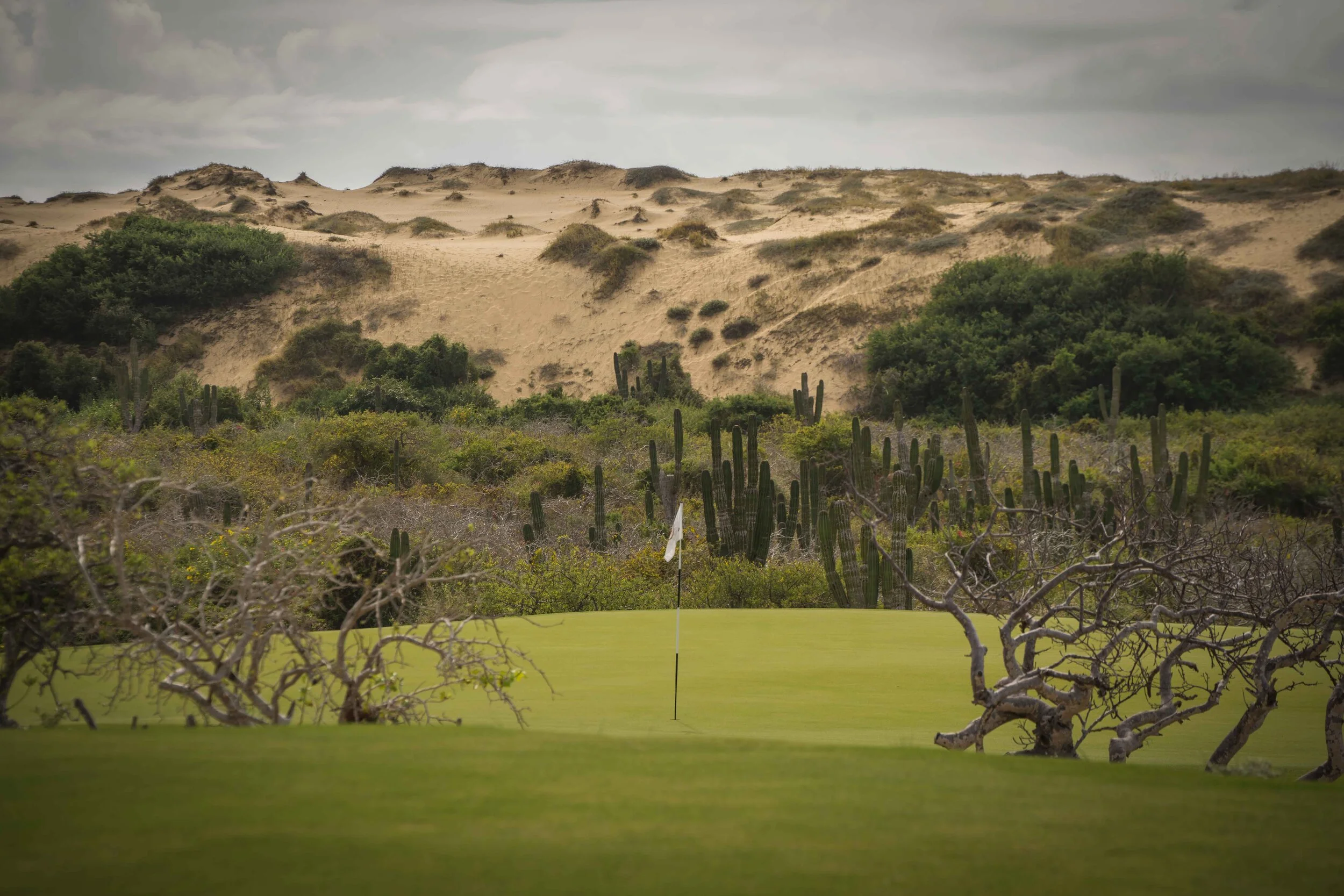 Rancho San Lucas_27.jpg