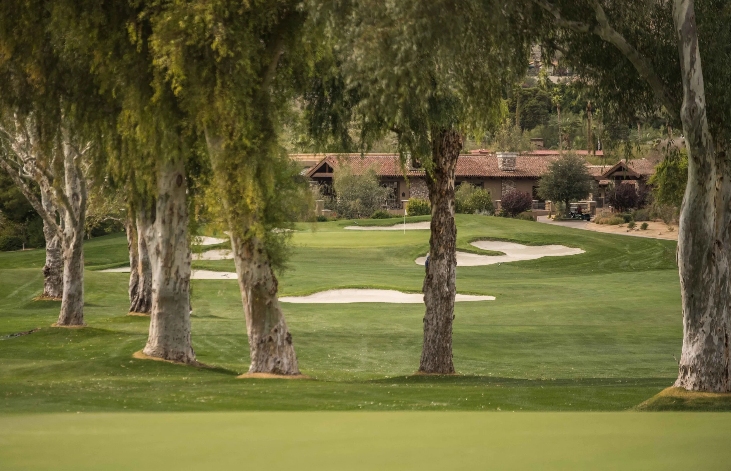 Paradise Valley_12.jpg