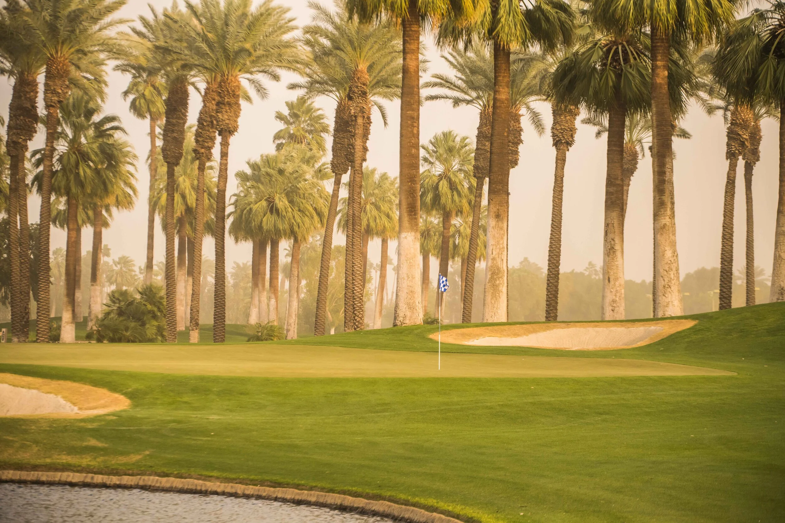 Desert Springs_80.jpg