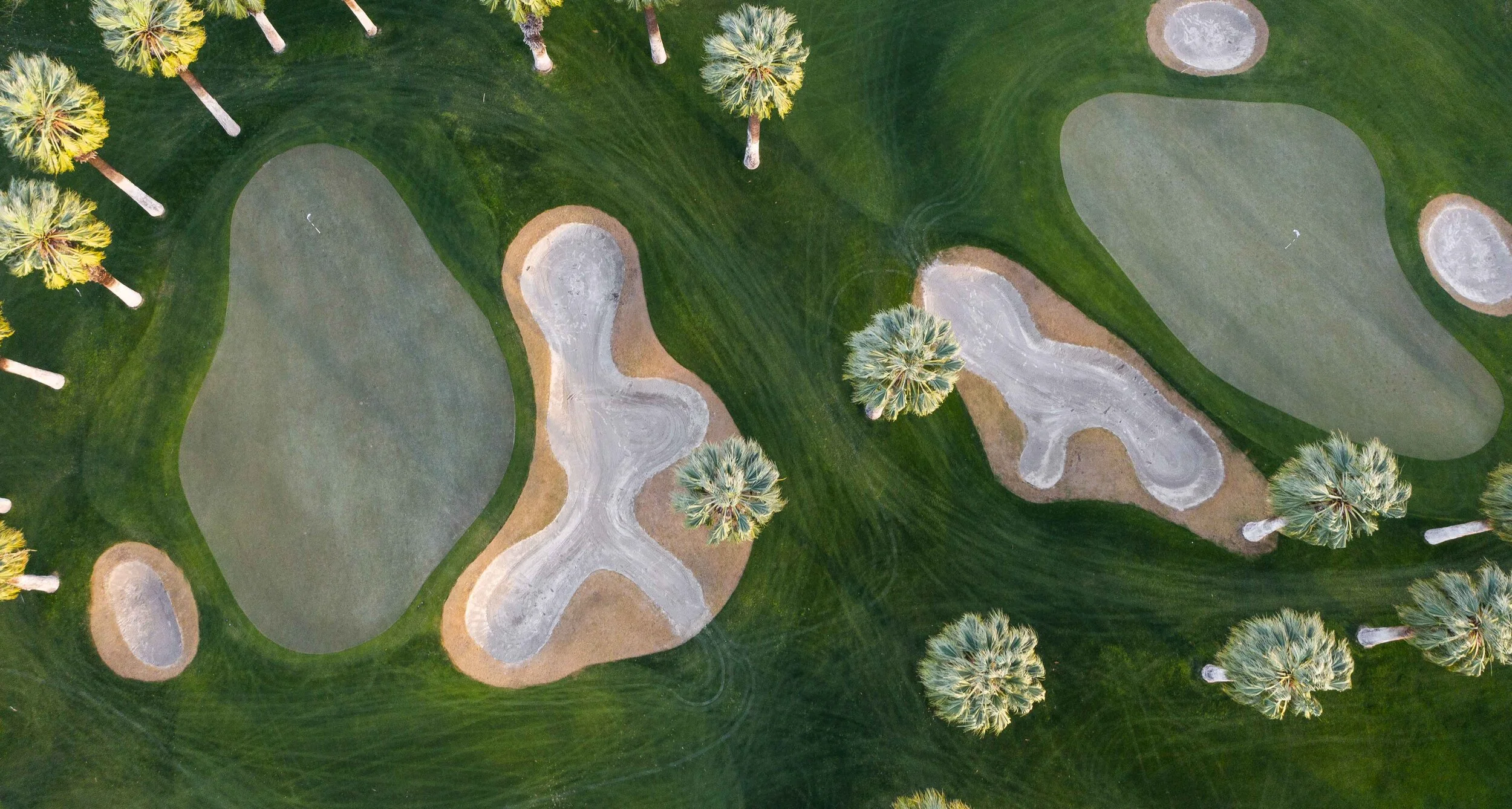 DJI_0712.jpg