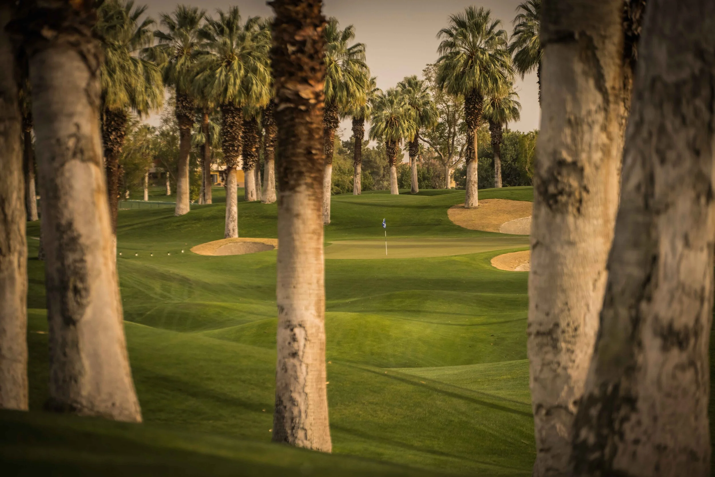 Desert Springs_62.jpg
