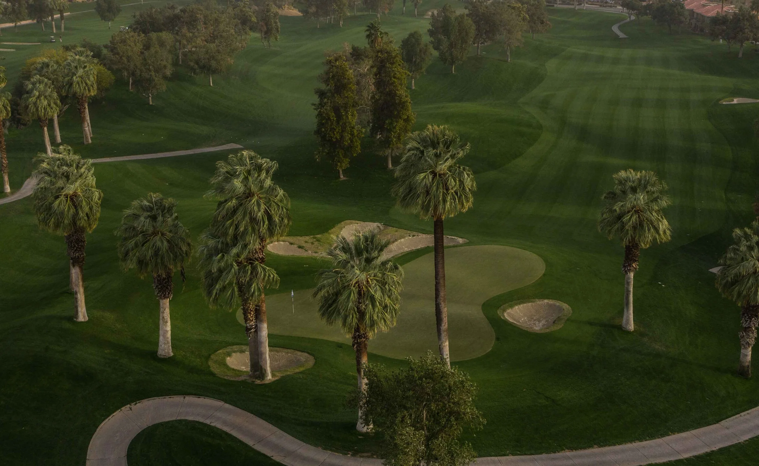 DJI_0647.jpg