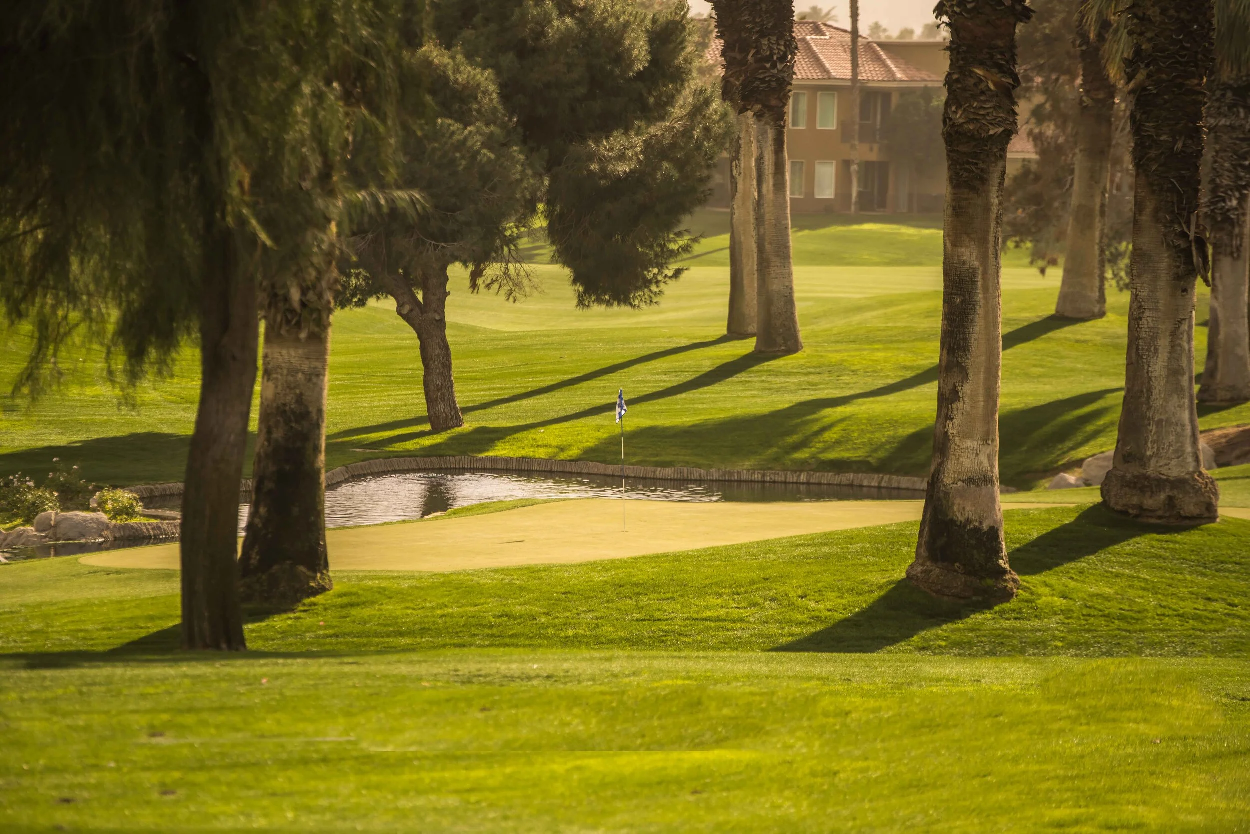 Desert Springs_43.jpg
