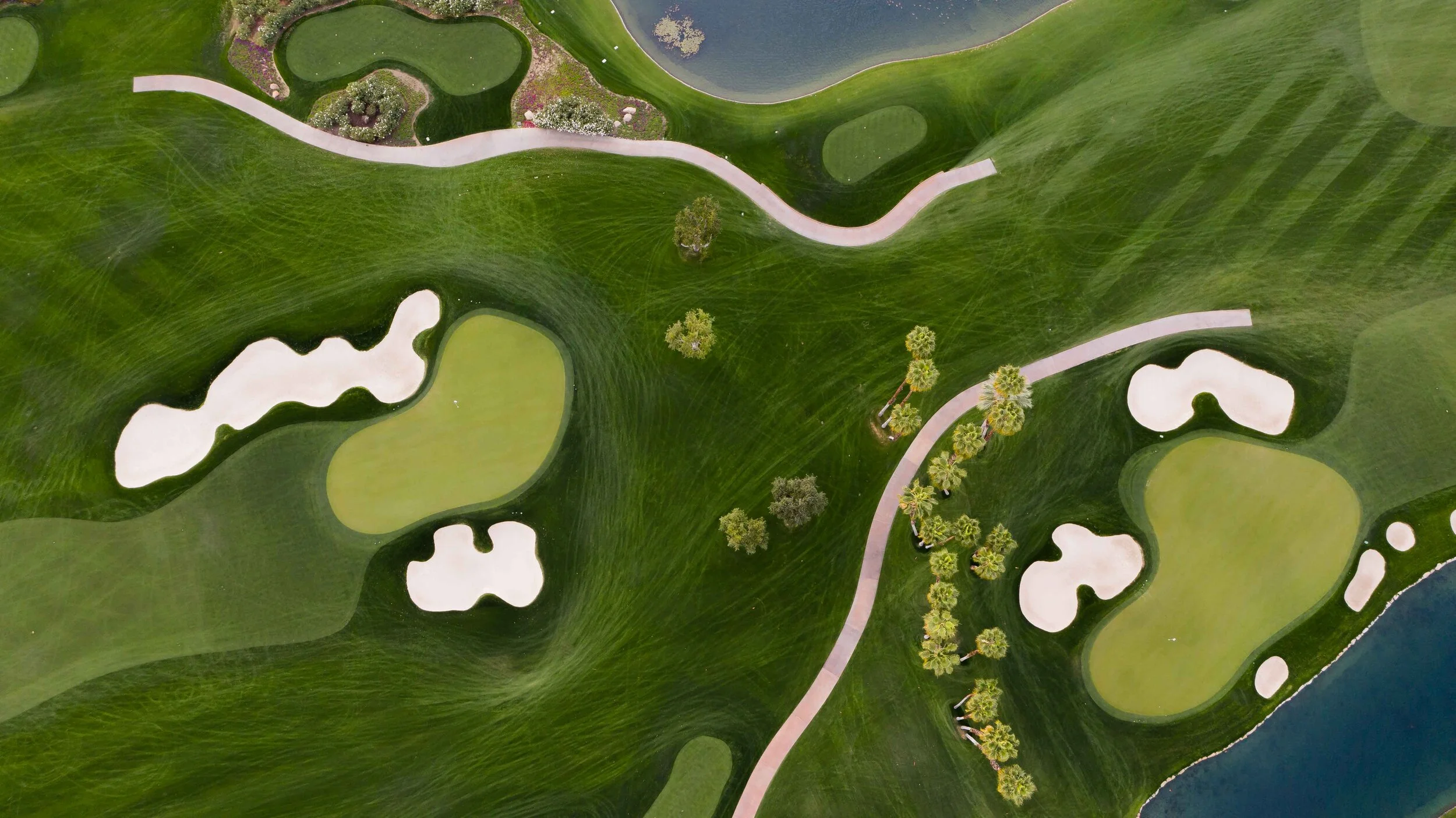 DJI_0359.jpg