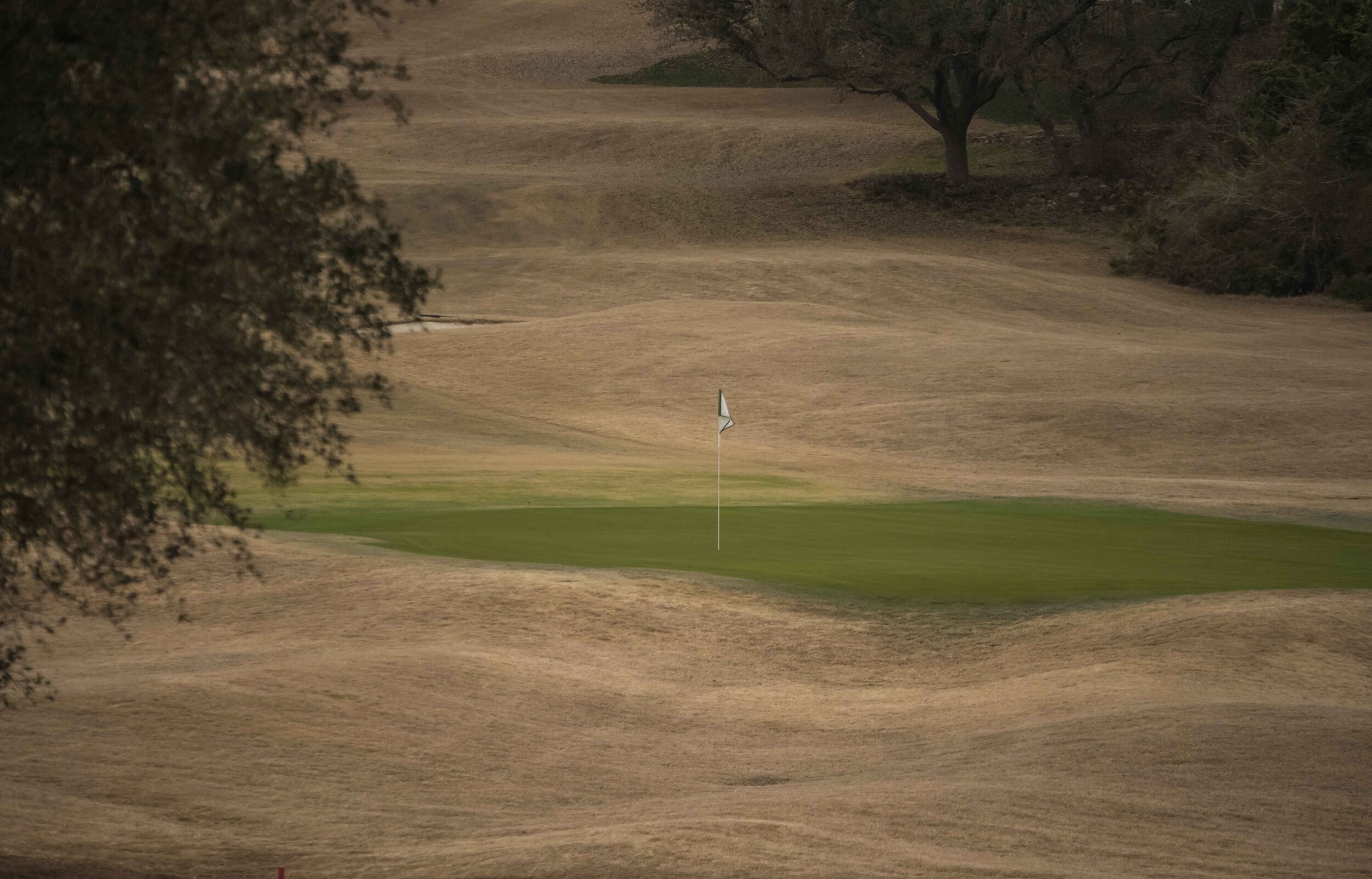 Fazio Foothills_12.jpg