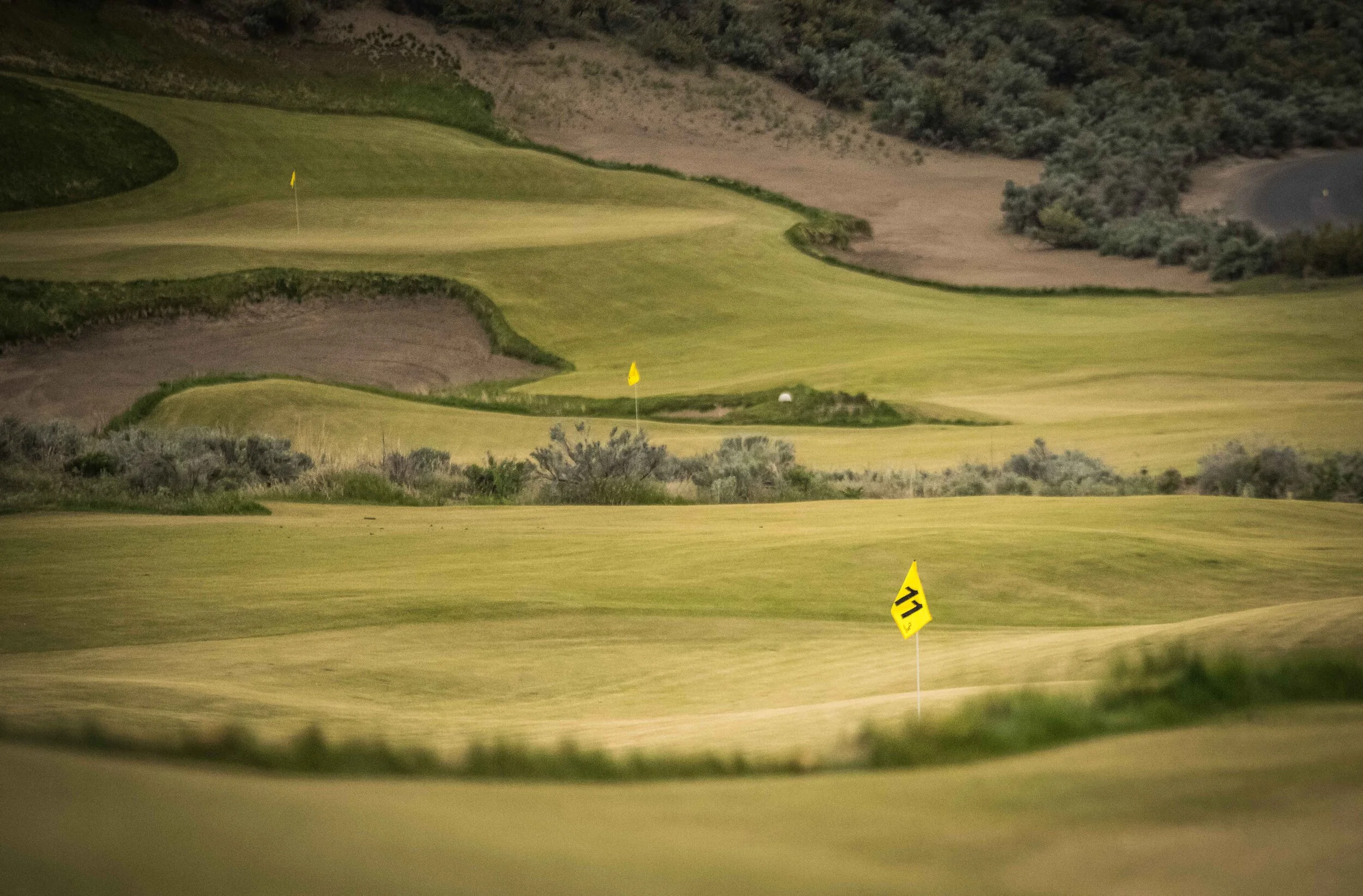 Gamble Sands 5-2021_84-2.jpg