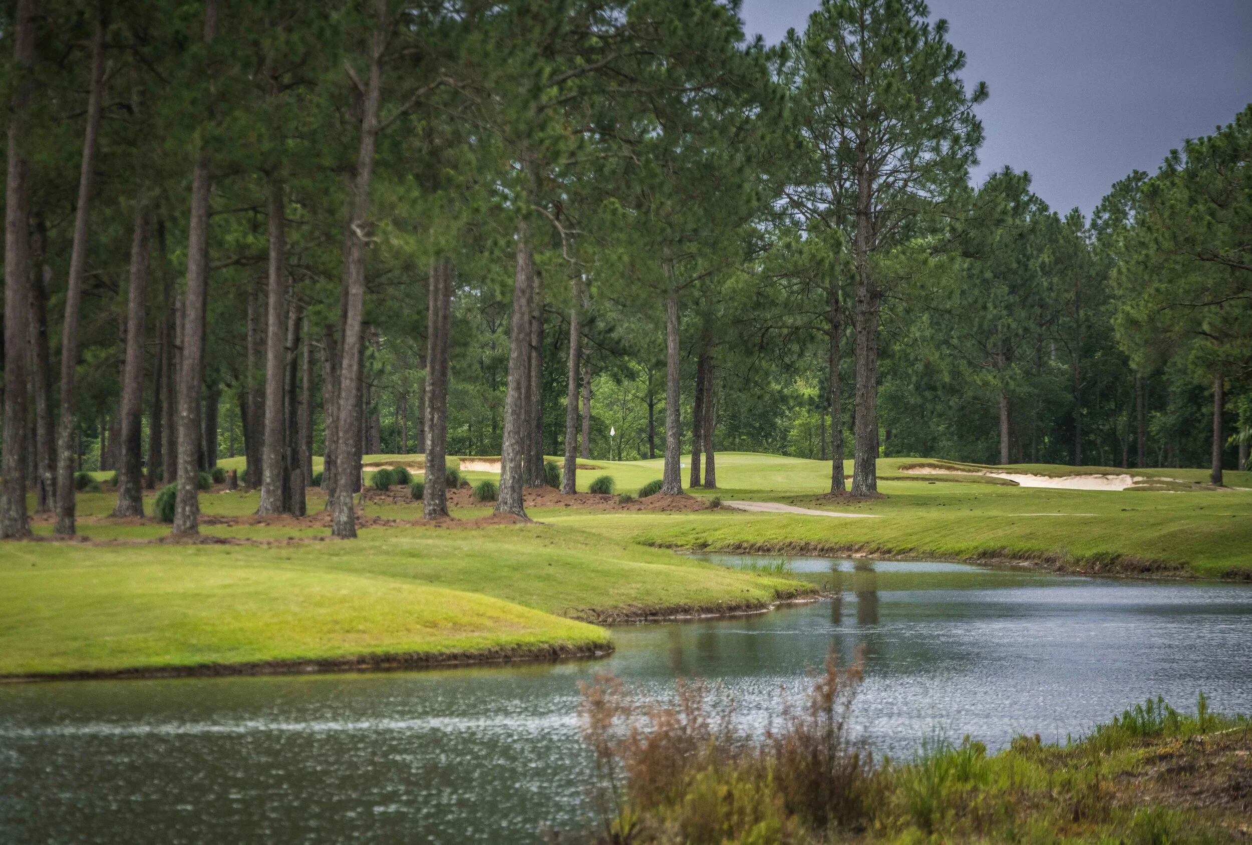 Shell Landing_60.jpg