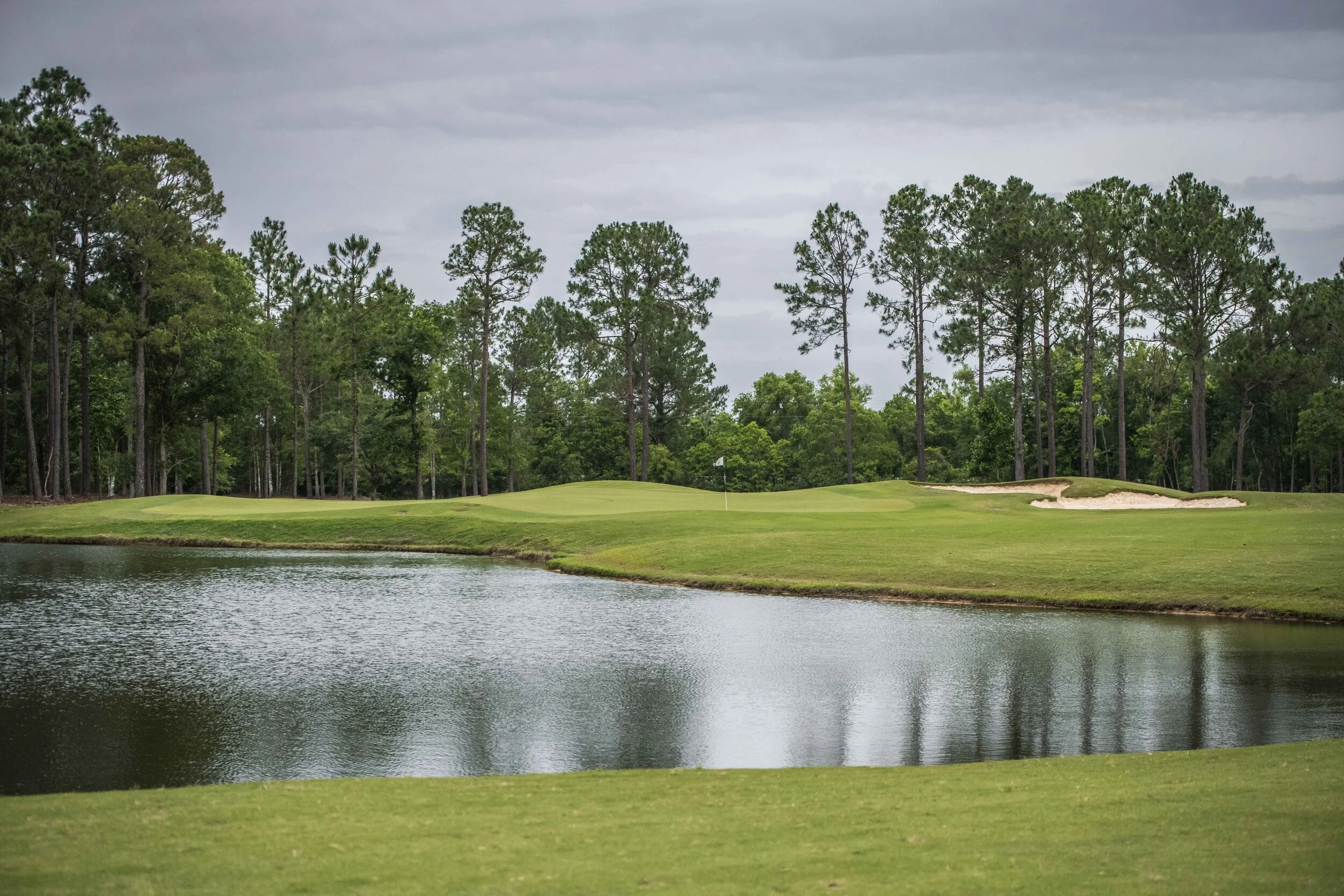 Shell Landing_59.jpg