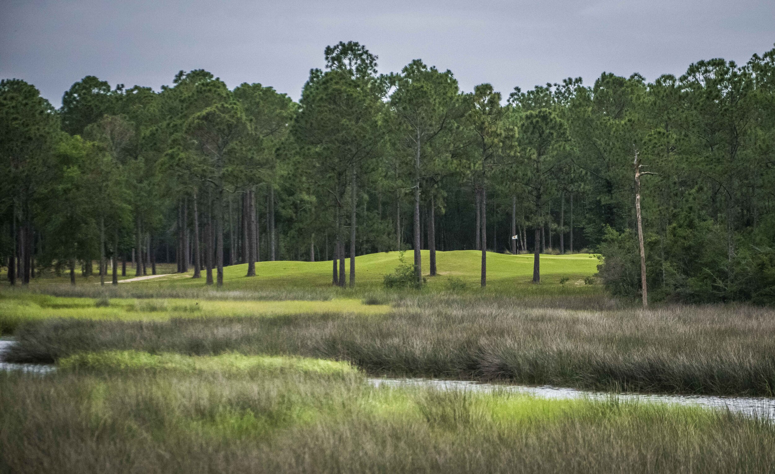 Shell Landing_22.jpg
