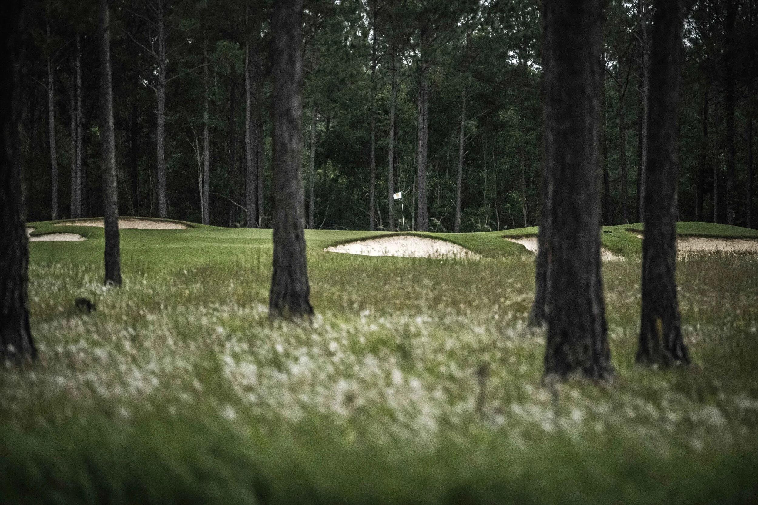 Shell Landing_26.jpg