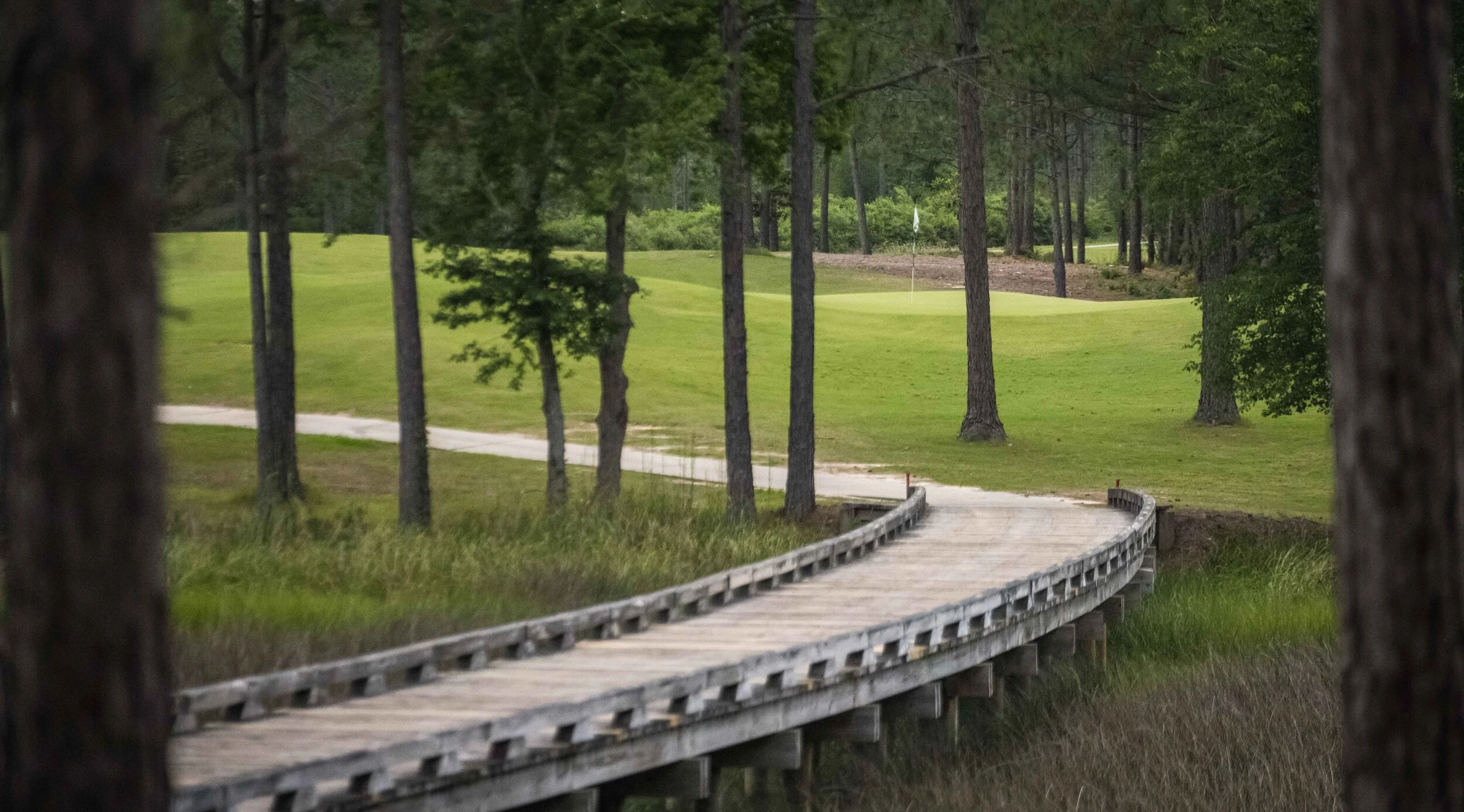 Shell Landing_14.jpg