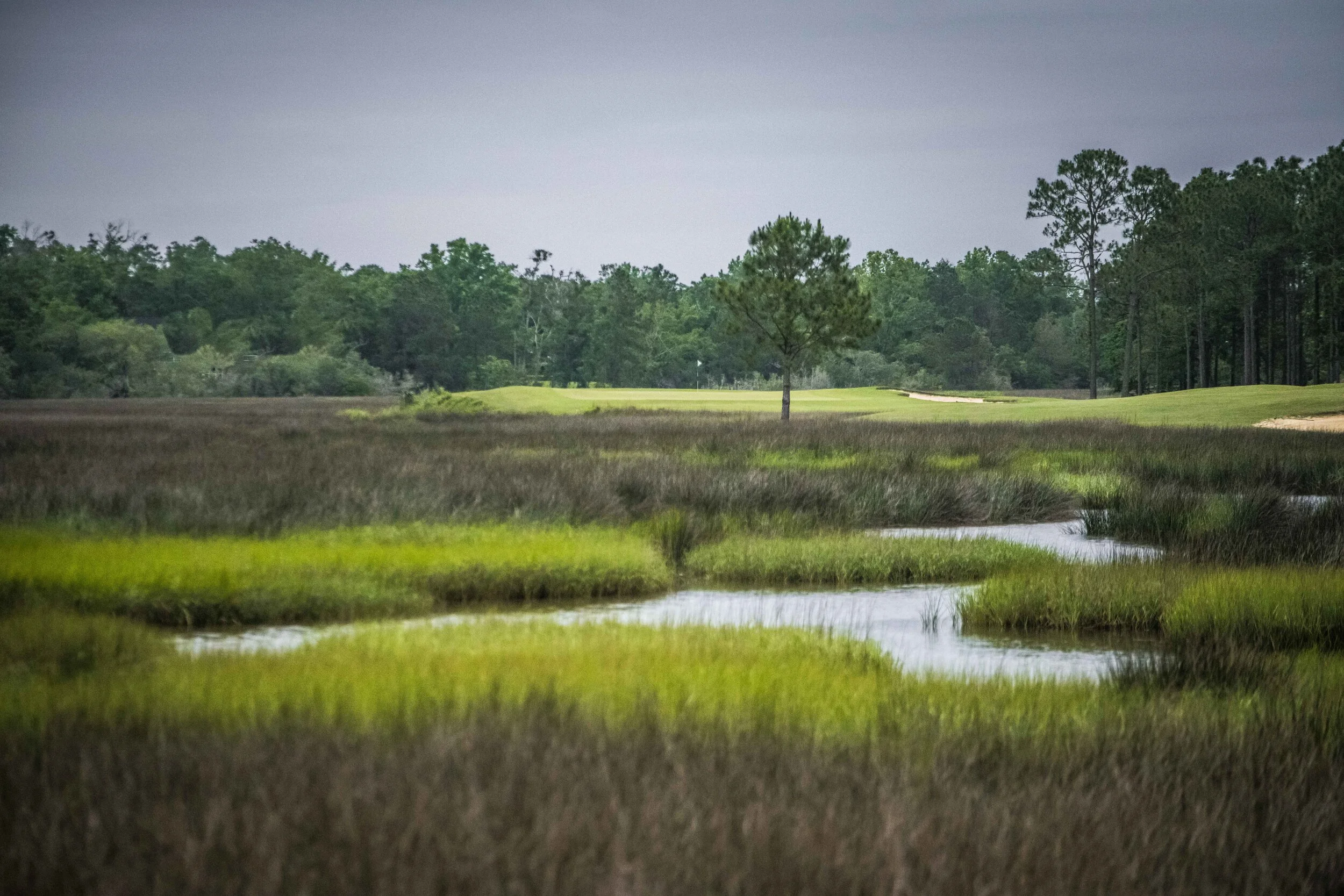 Shell Landing_11-2.jpg