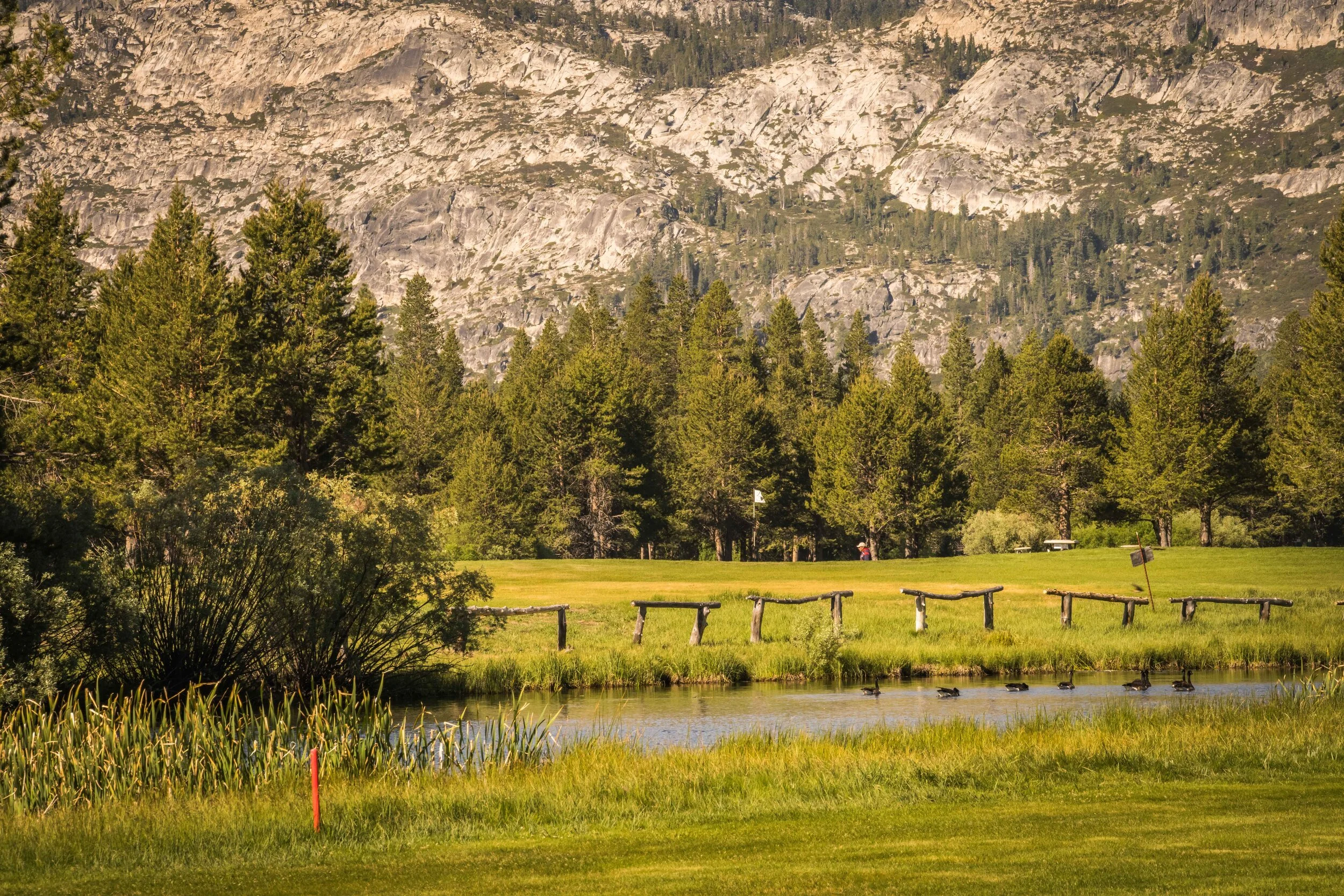 Lake Tahoe Golf Course 6-2021_45.jpg