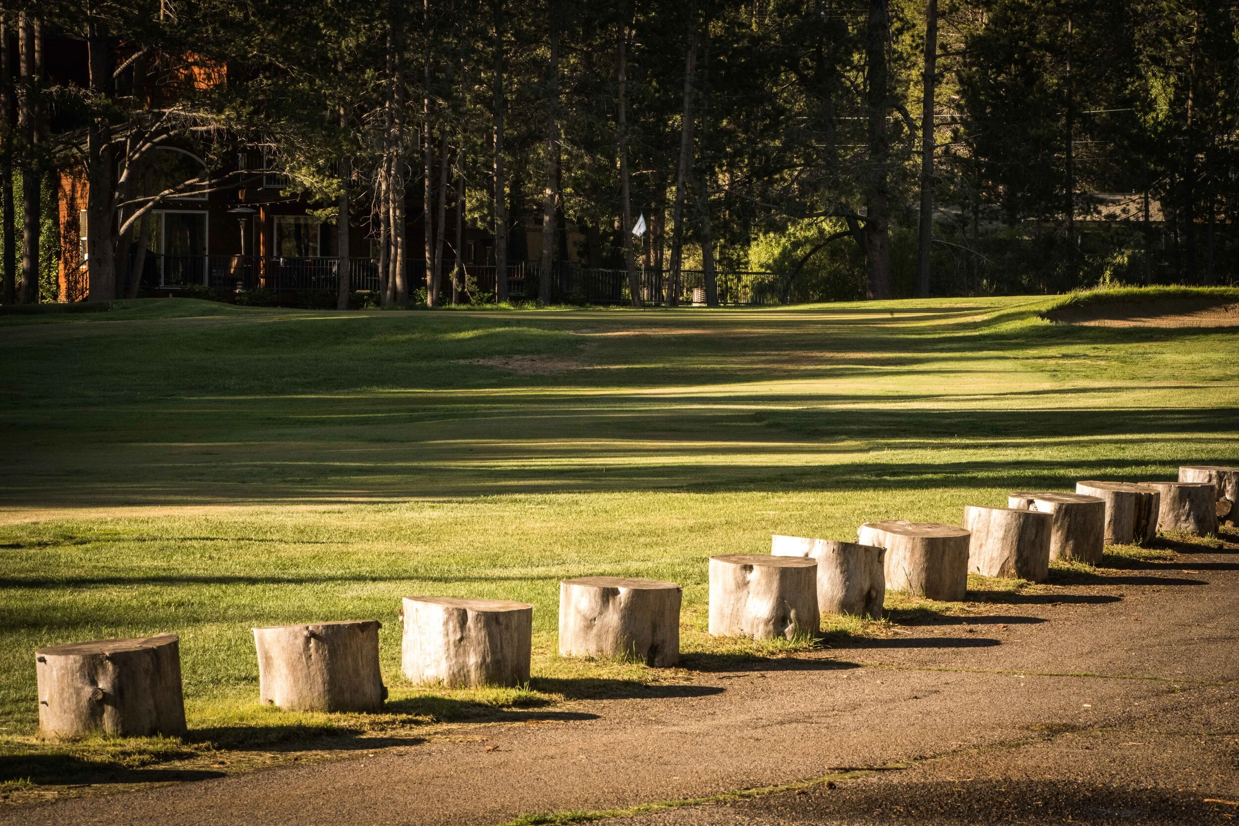 Lake Tahoe Golf Course 6-2021_23.jpg
