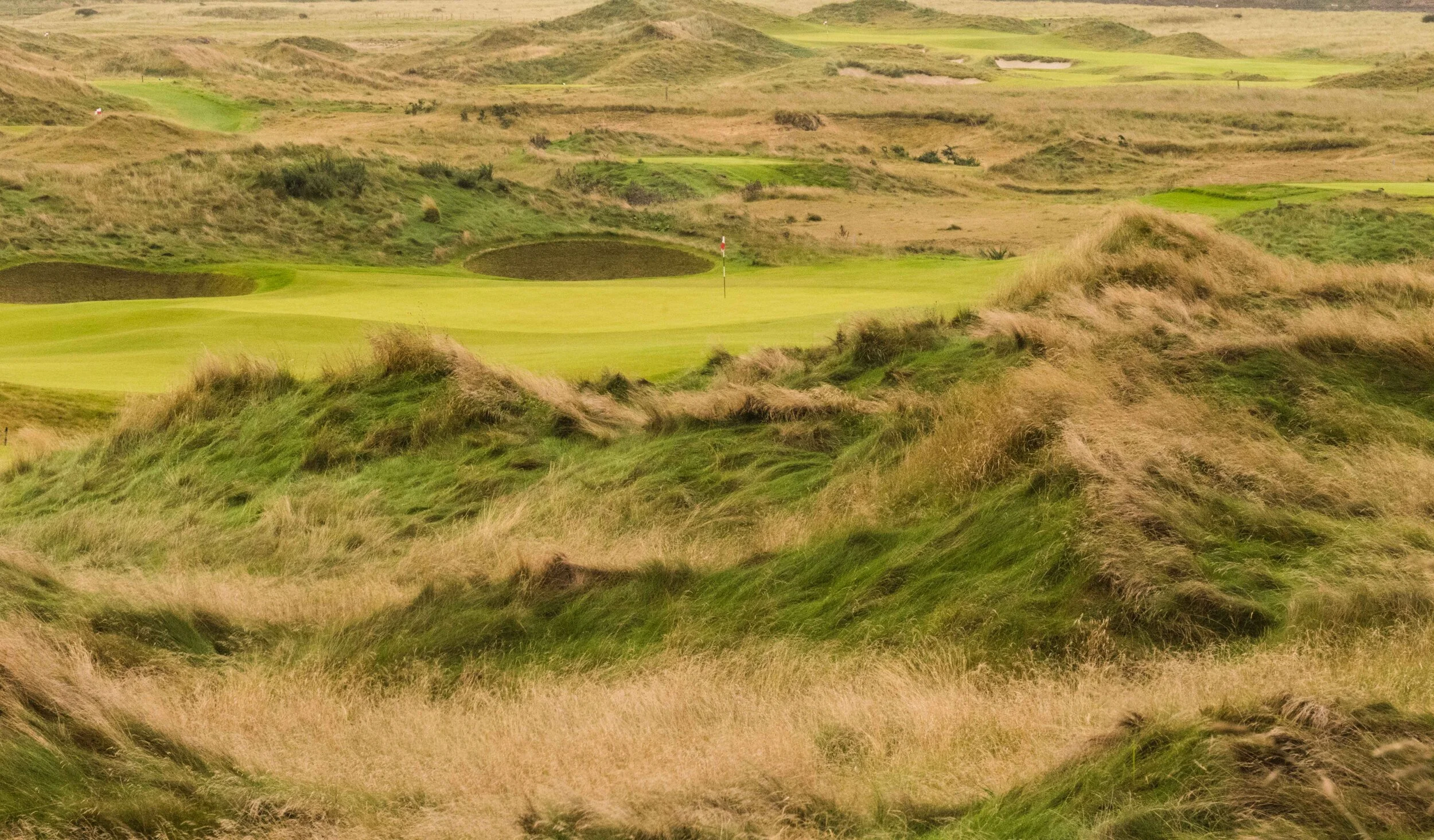 Dumbarnie Links_12.jpg