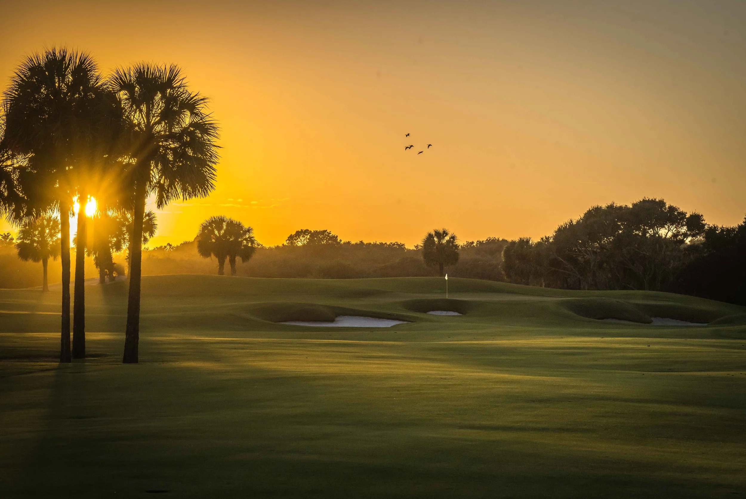 Hammock Beach - Ocean Course_41-2.jpg