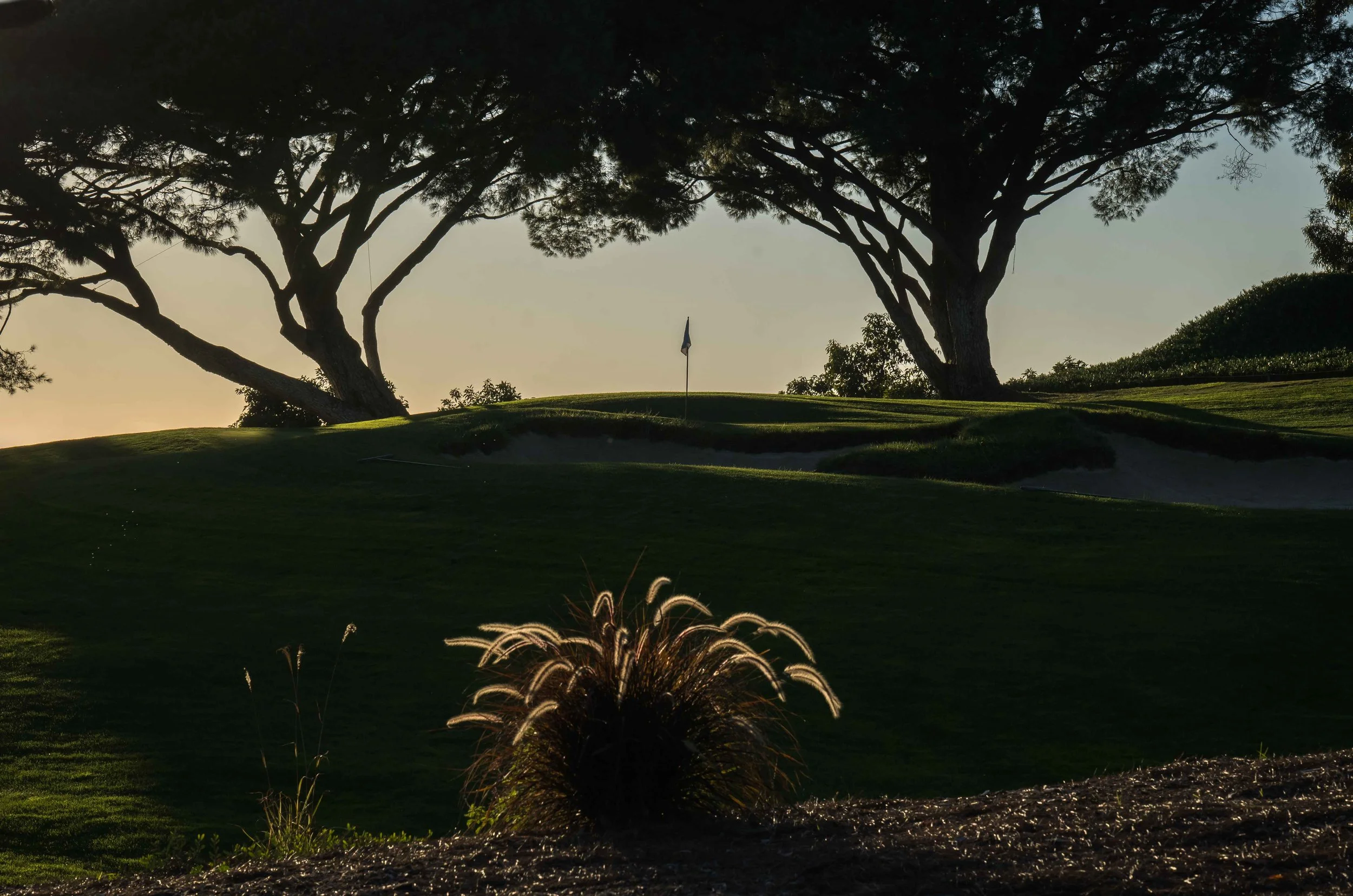 Saticoy Club_113-3.jpg